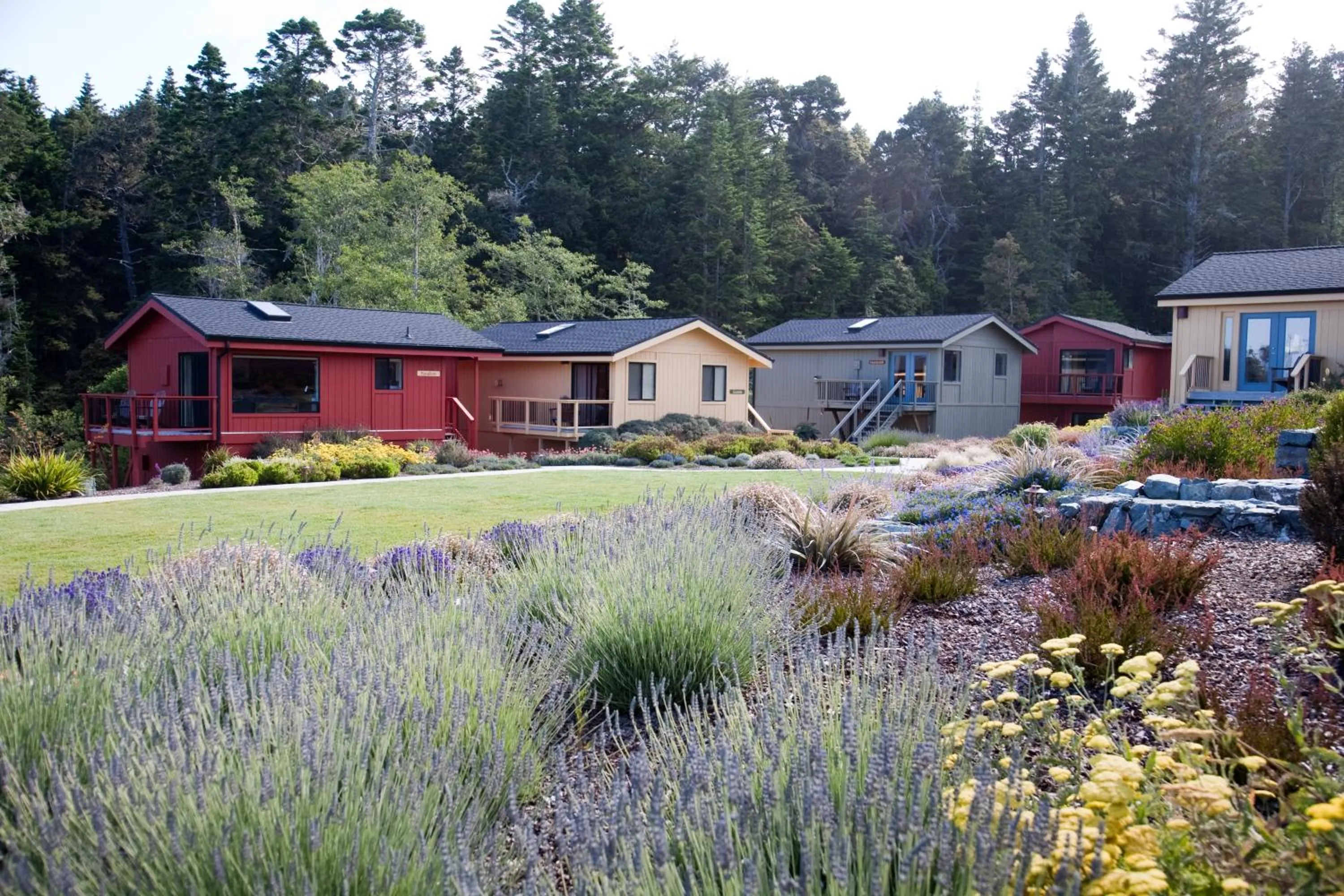 Garden in Cottages at Little River Cove