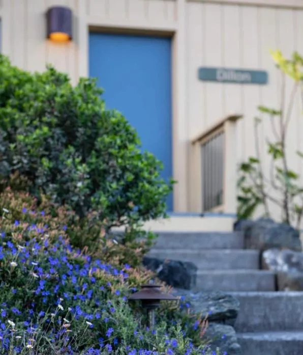 Spring in Cottages at Little River Cove