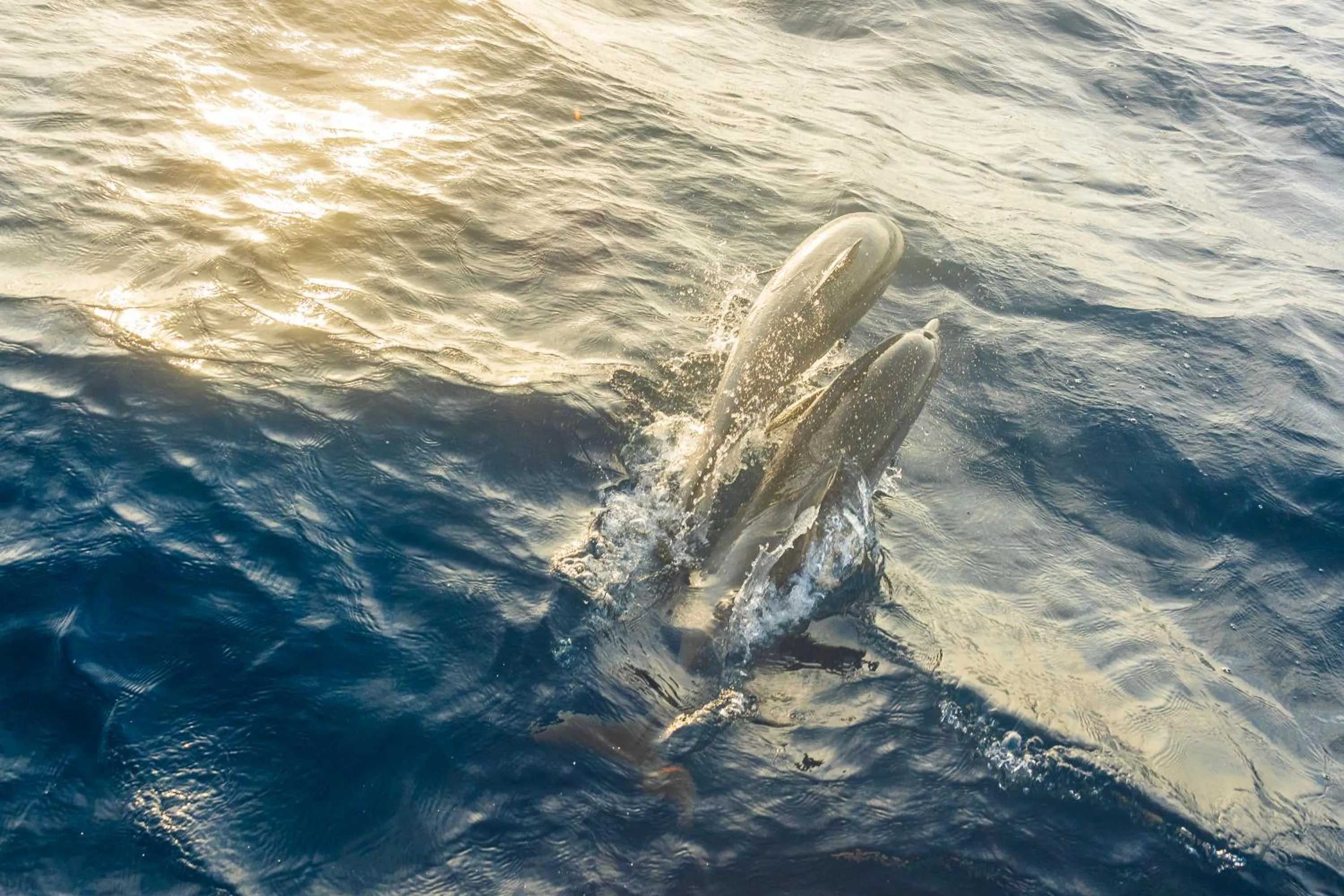 Natural landscape in Milaidhoo Maldives