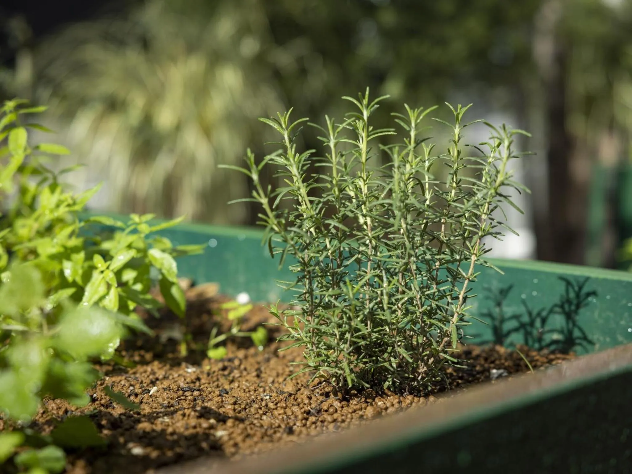 Area and facilities in Hotel Wing International Select Hakata-Ekimae