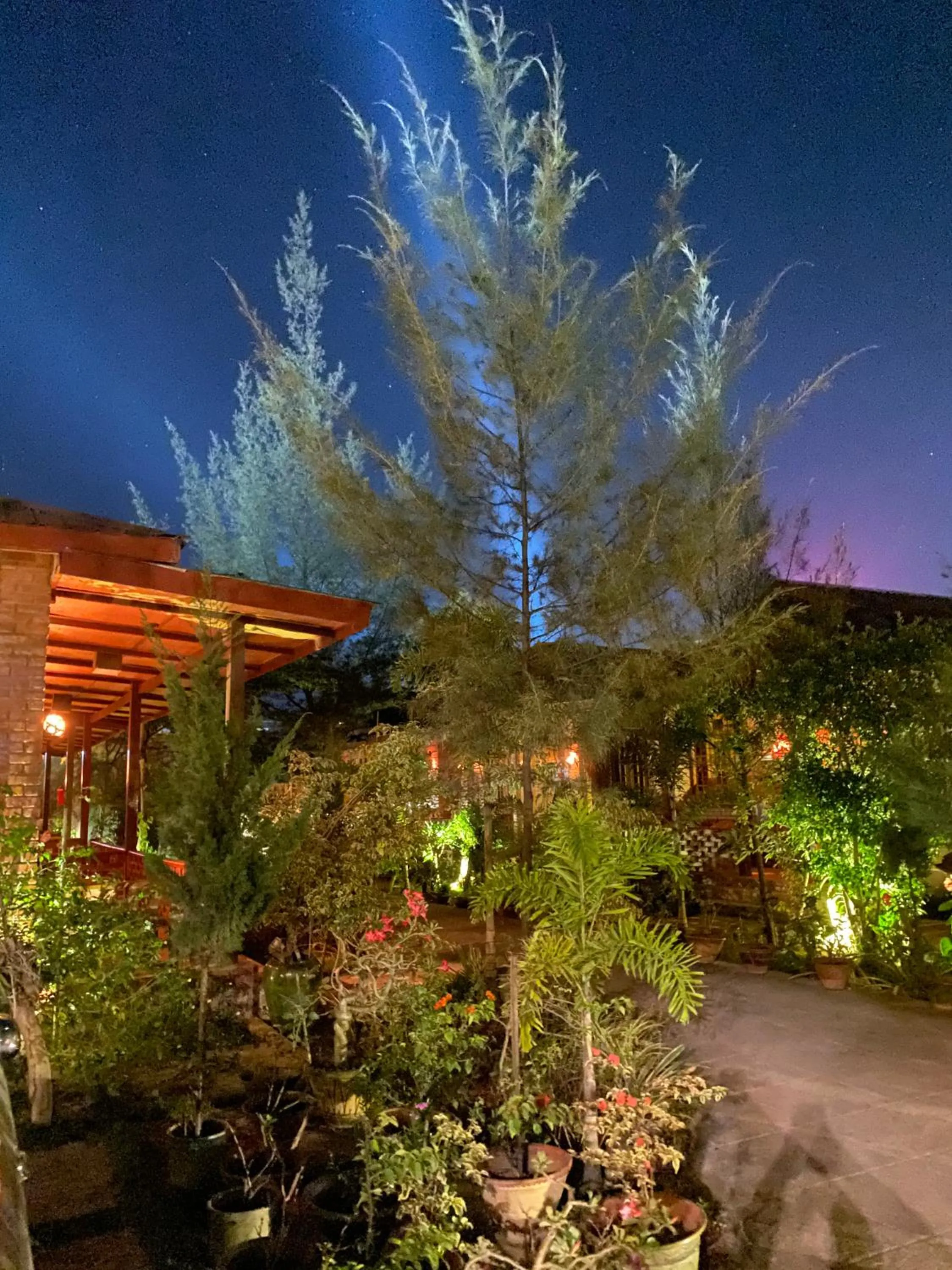 View (from property/room) in Trinity Family Inn