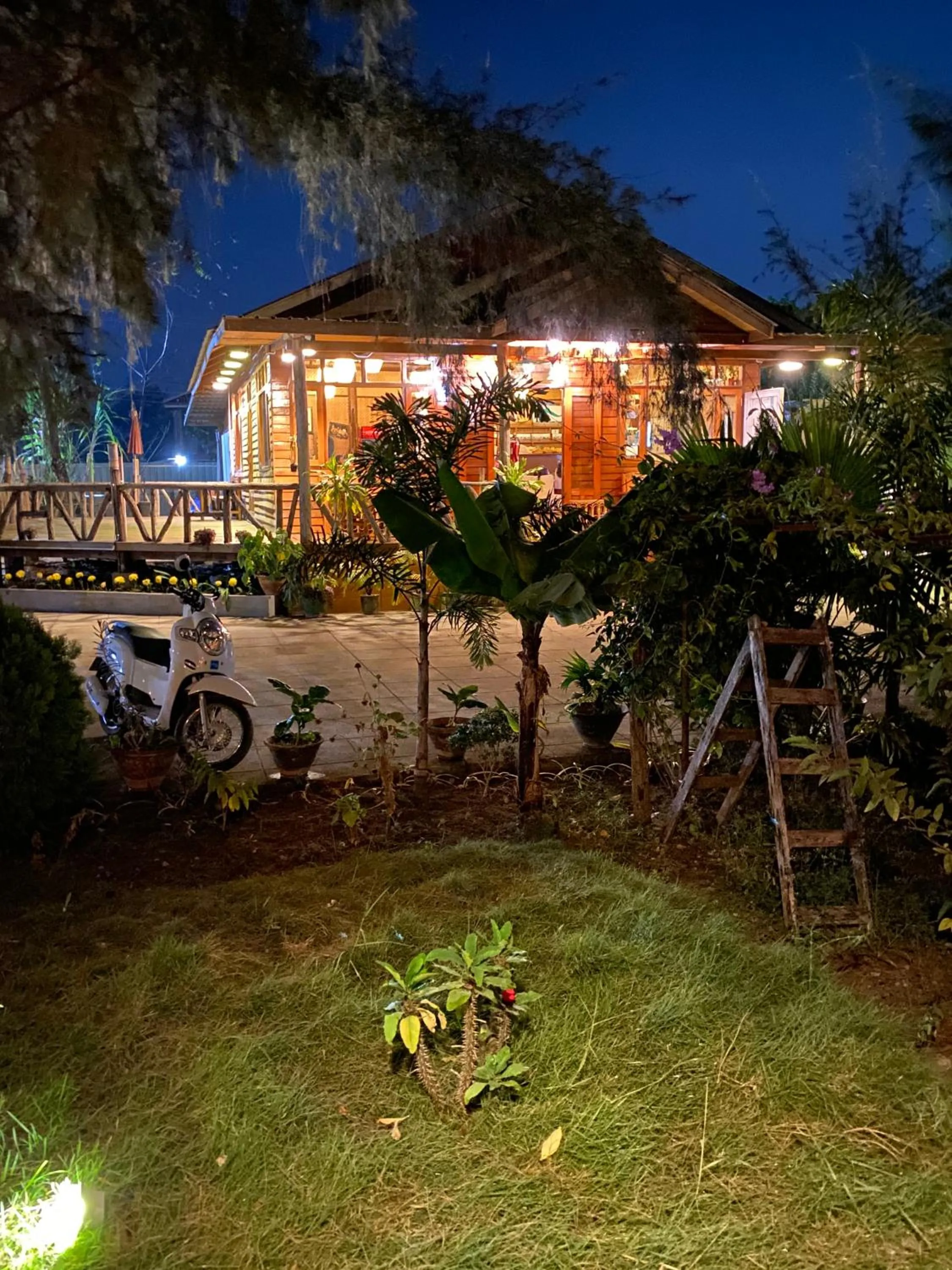 View (from property/room) in Trinity Family Inn