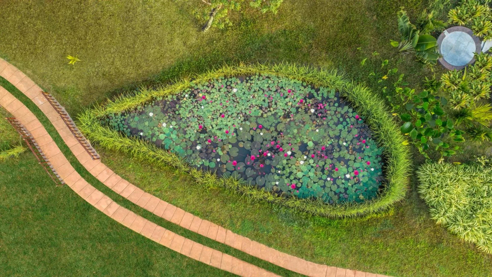 Garden in Niraamaya Wellness Retreats Backwaters And Beyond Kumarakom