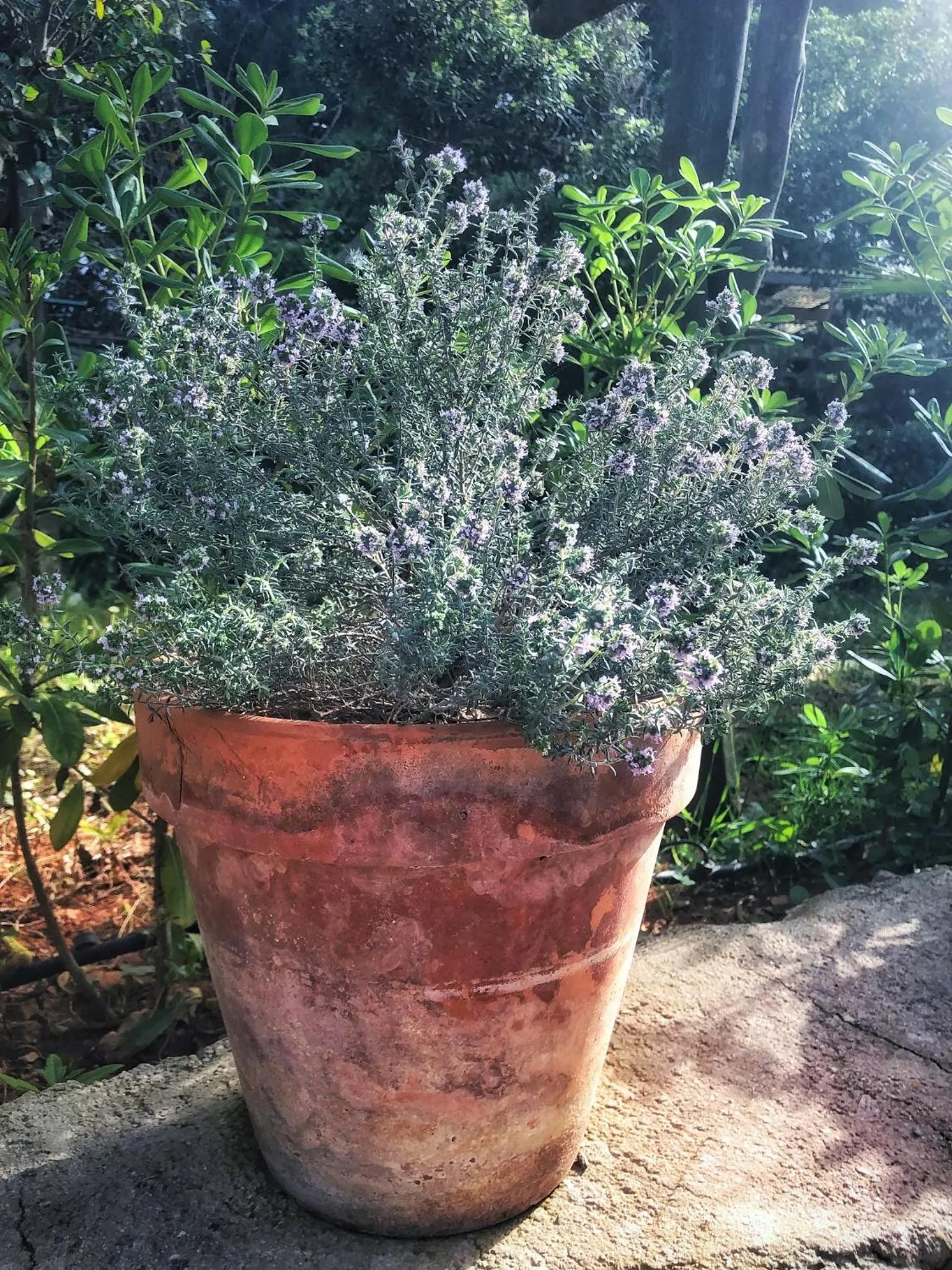 Villa Margherita Residence