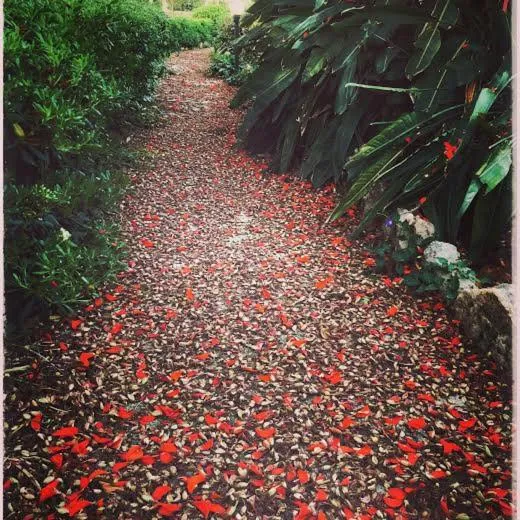 Villa Margherita Residence