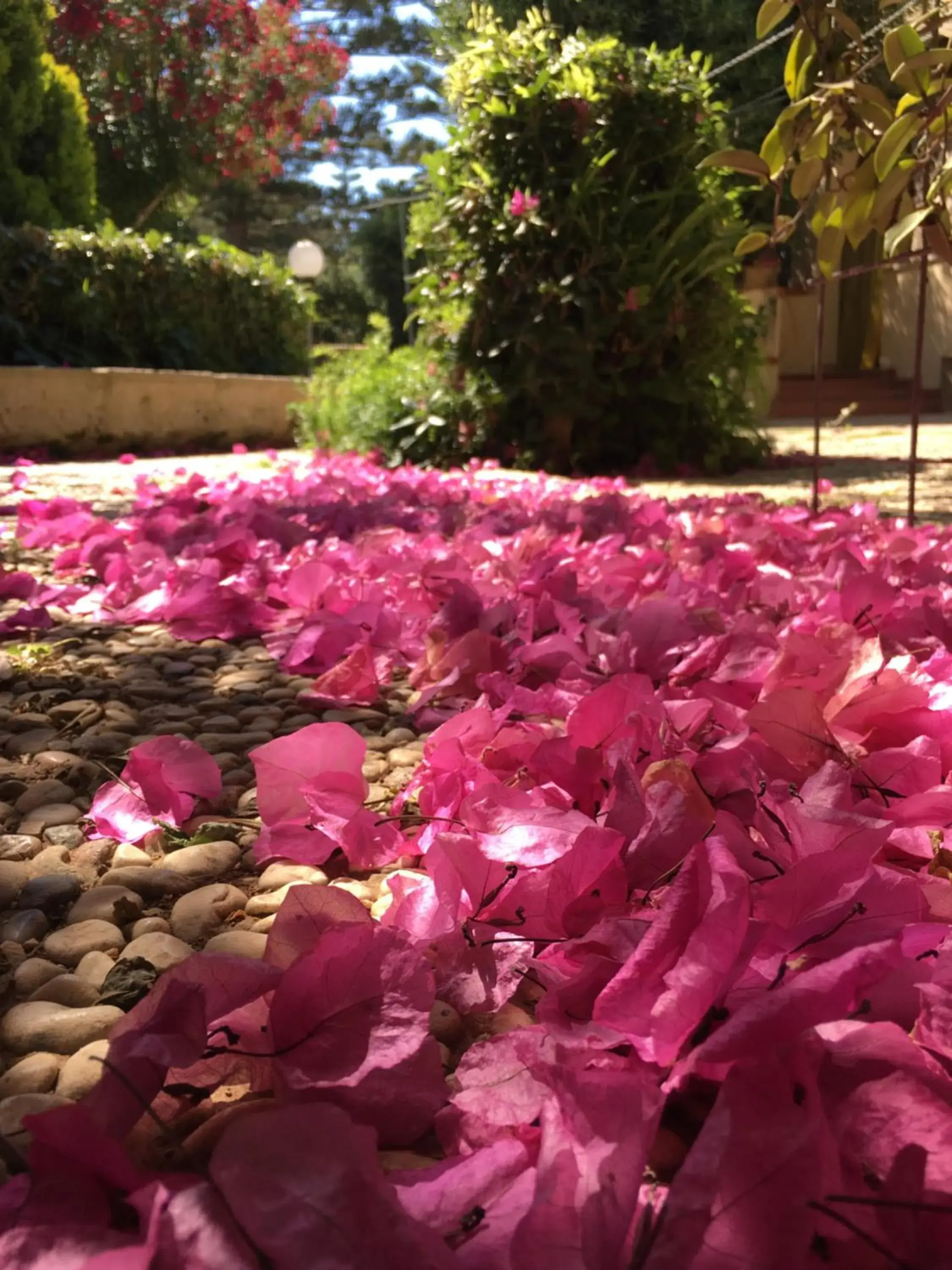 Superior Apartment in Villa Margherita Residence Superior Apartment in Villa Margherita Residence