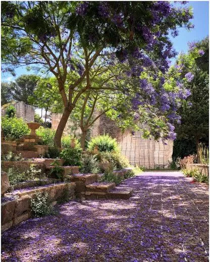 Garden in Villa Margherita Residence