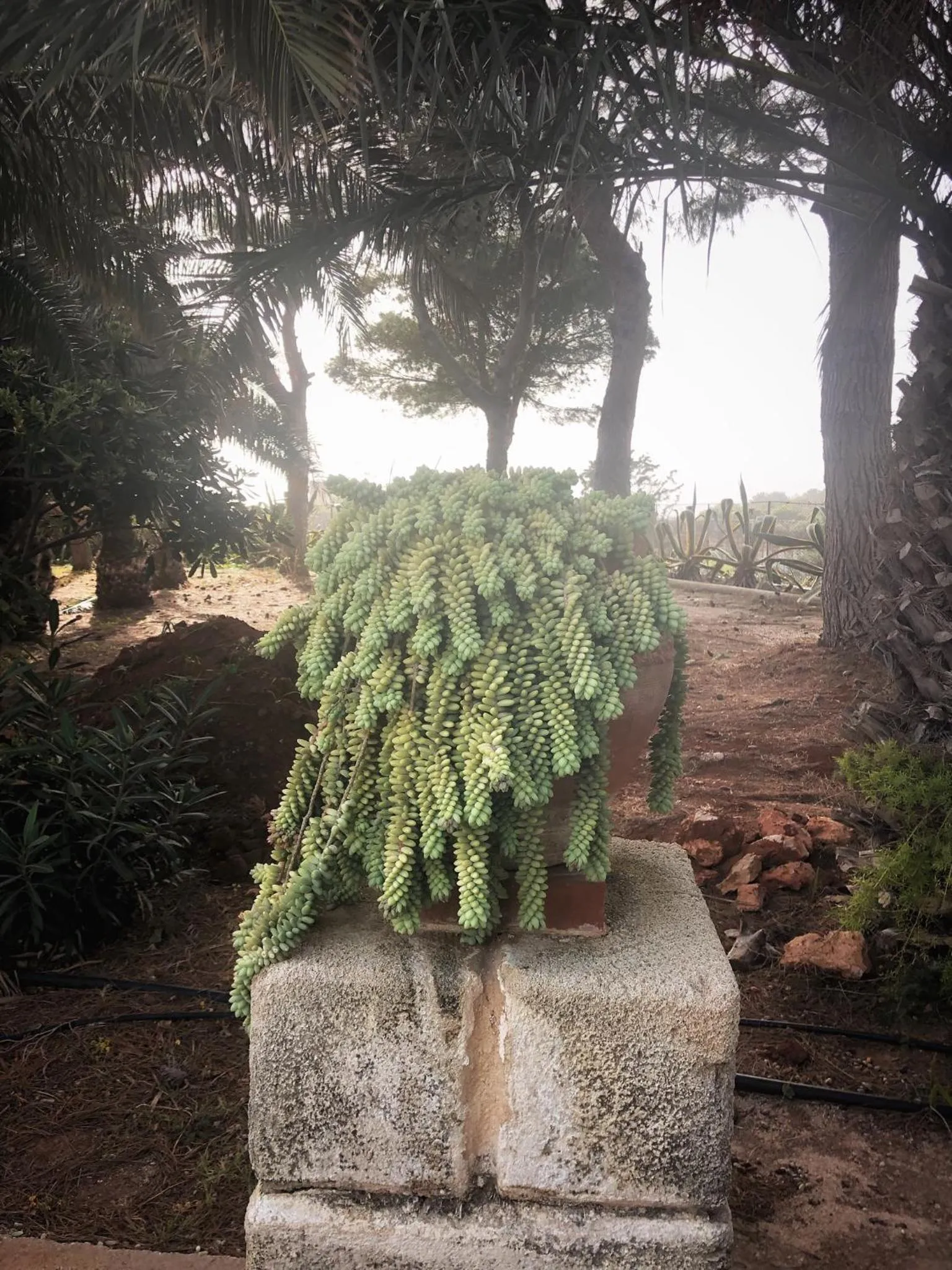 Villa Margherita Residence