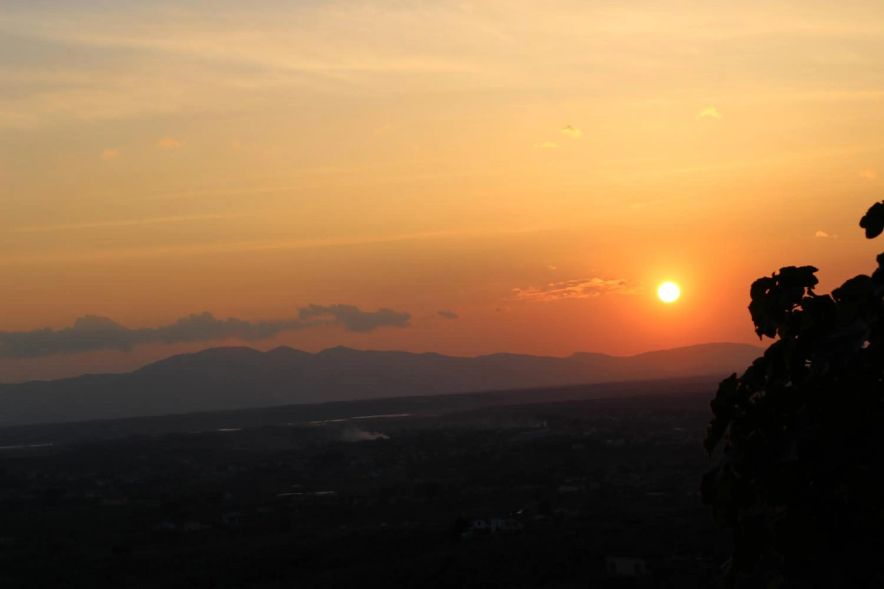 Garden view in Agriturismo Podere Rondinaio