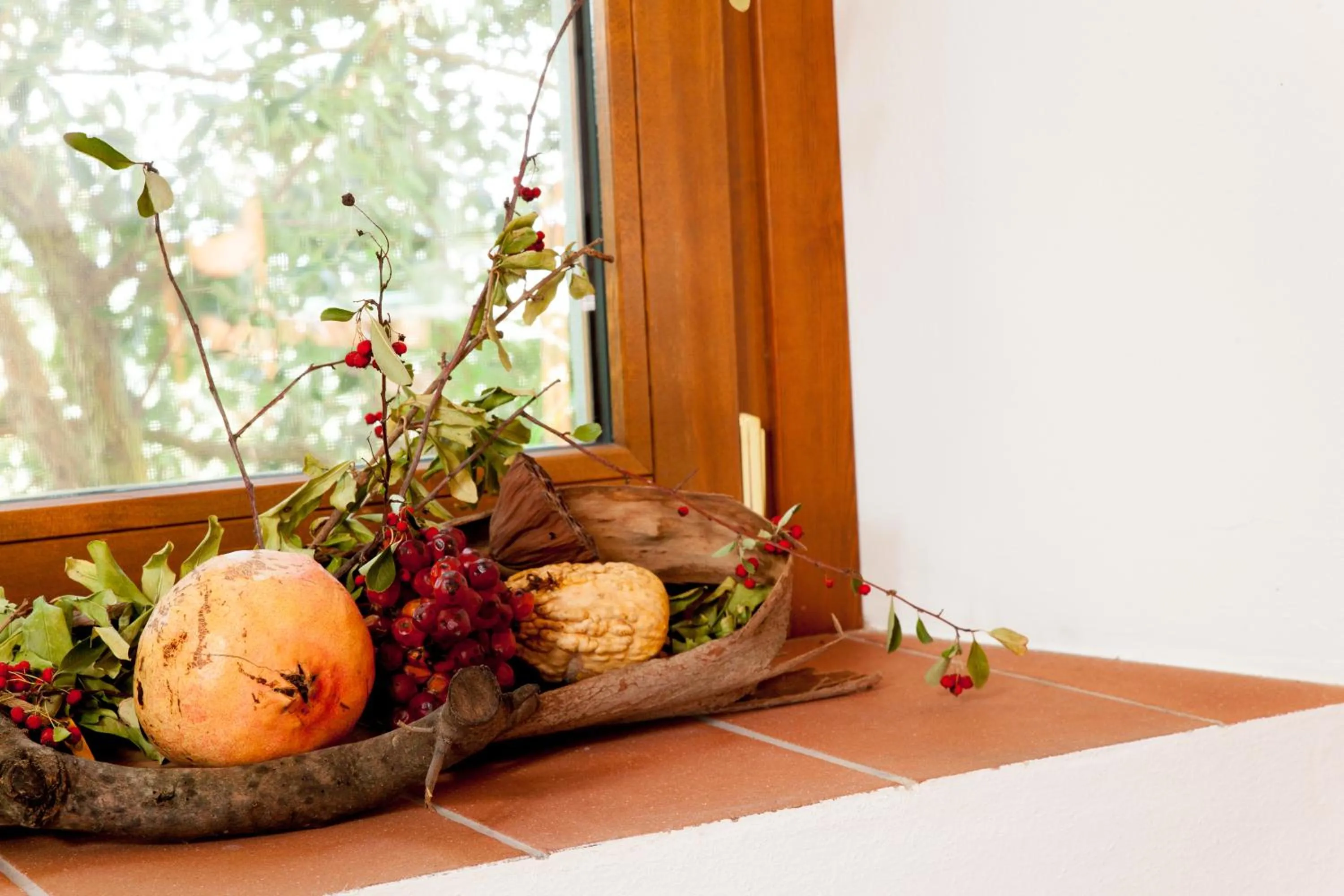 Property building in Agriturismo Podere Rondinaio