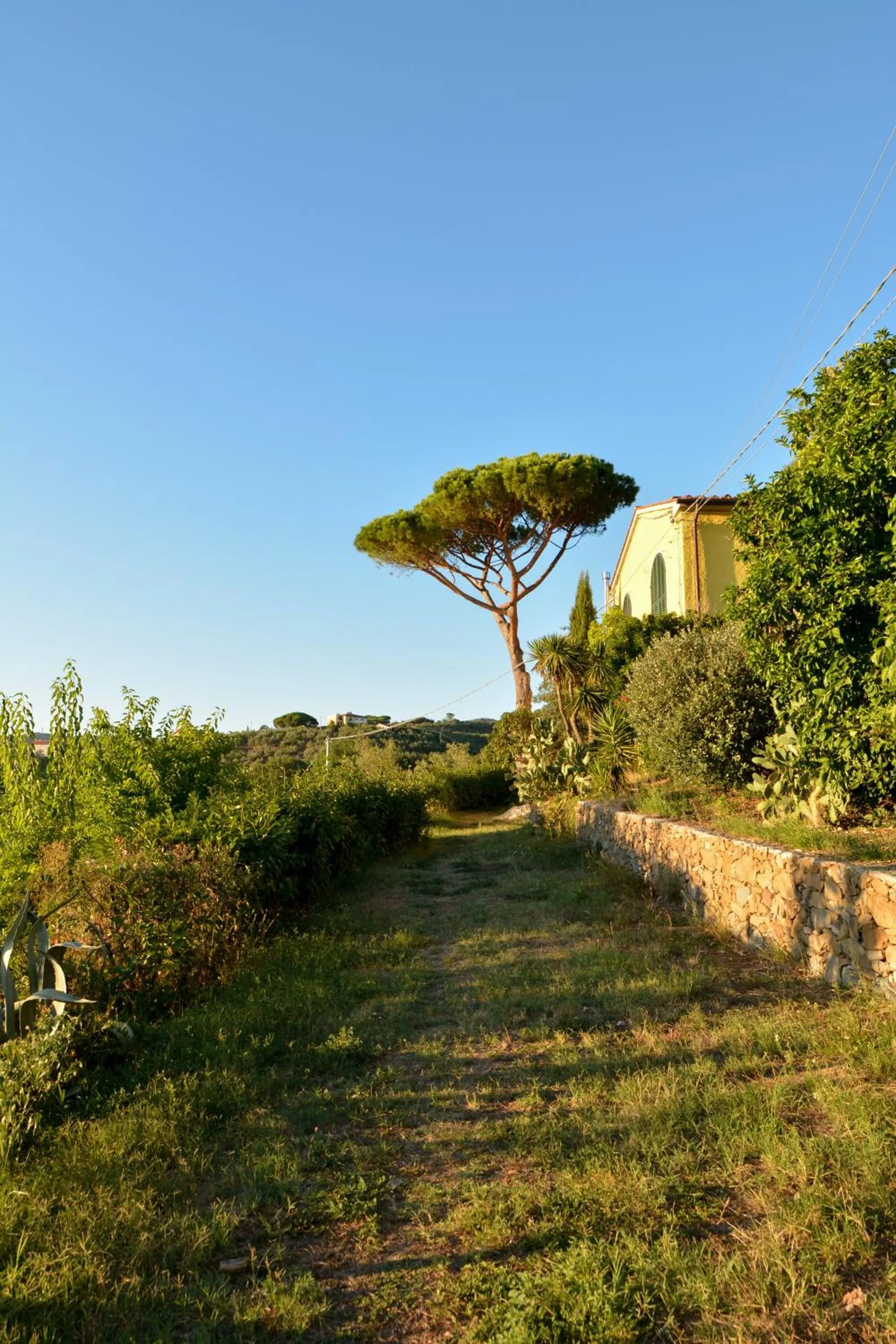 Natural landscape in Agriturismo Podere Rondinaio