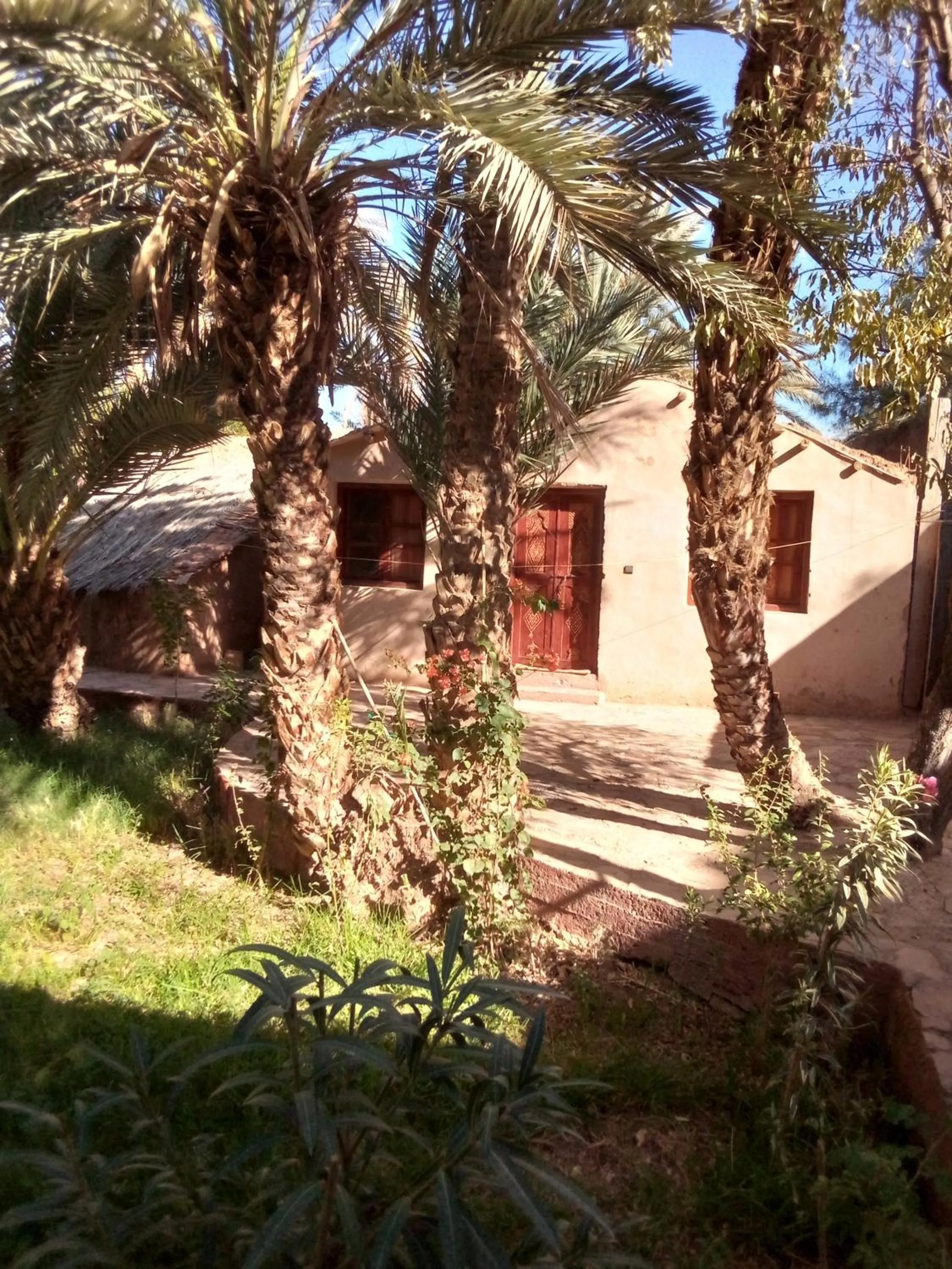 Quadruple Room with Garden View in Riad Tabhirte