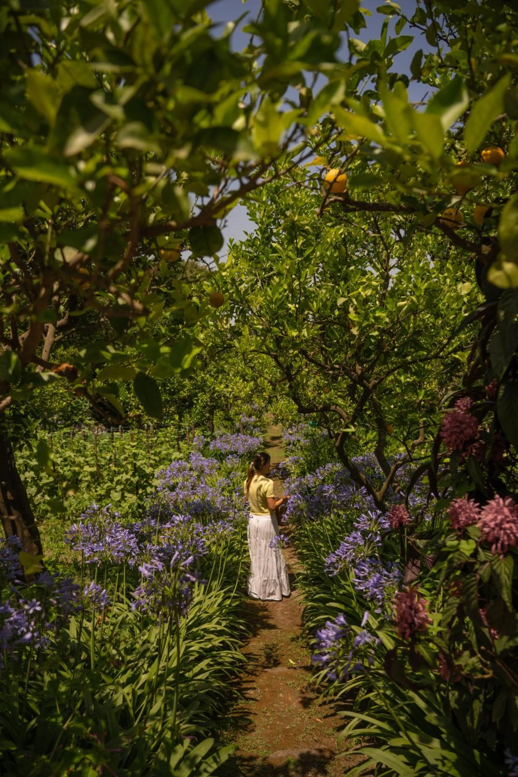 Day in Grand Hotel Cocumella