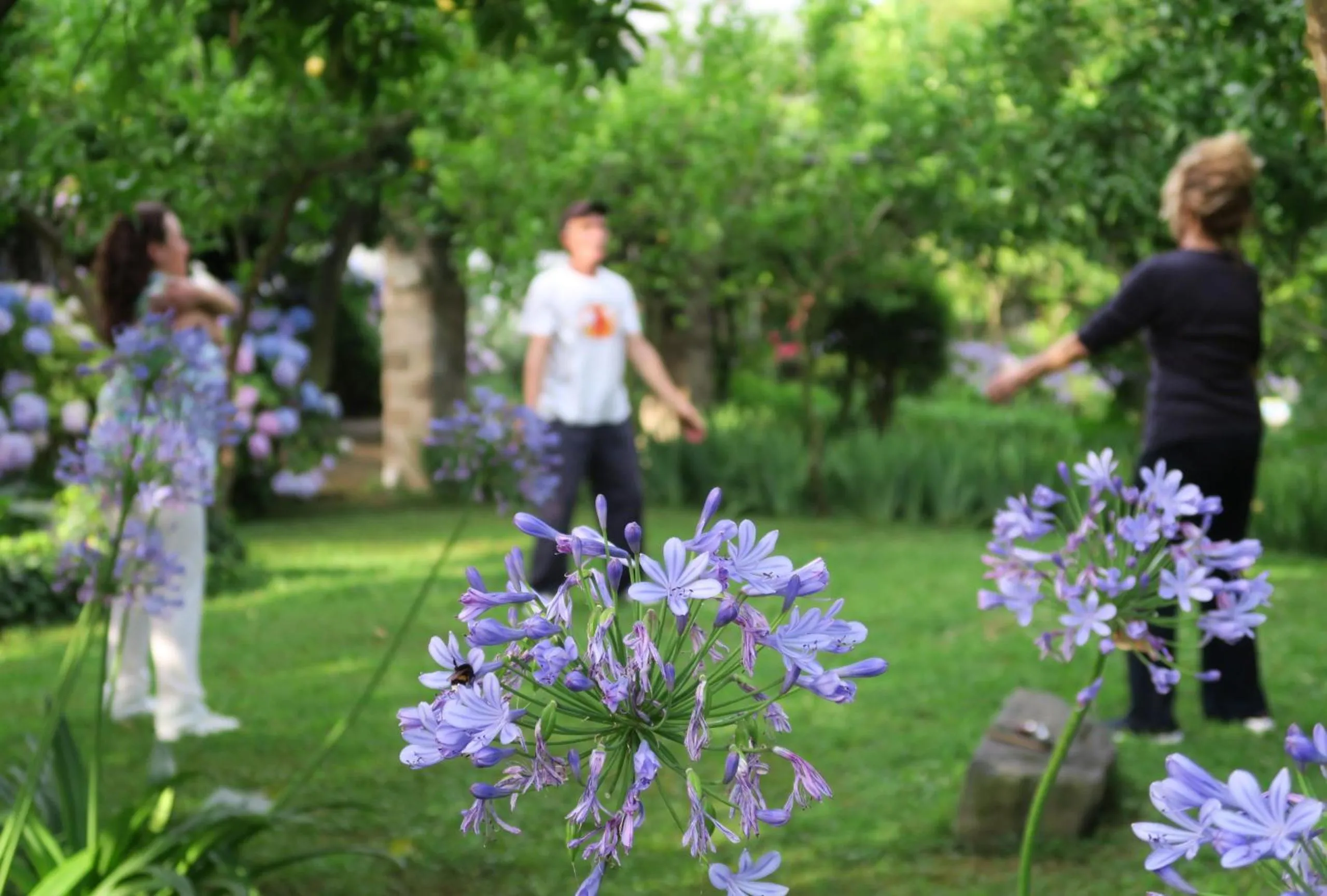 Day in Grand Hotel Cocumella
