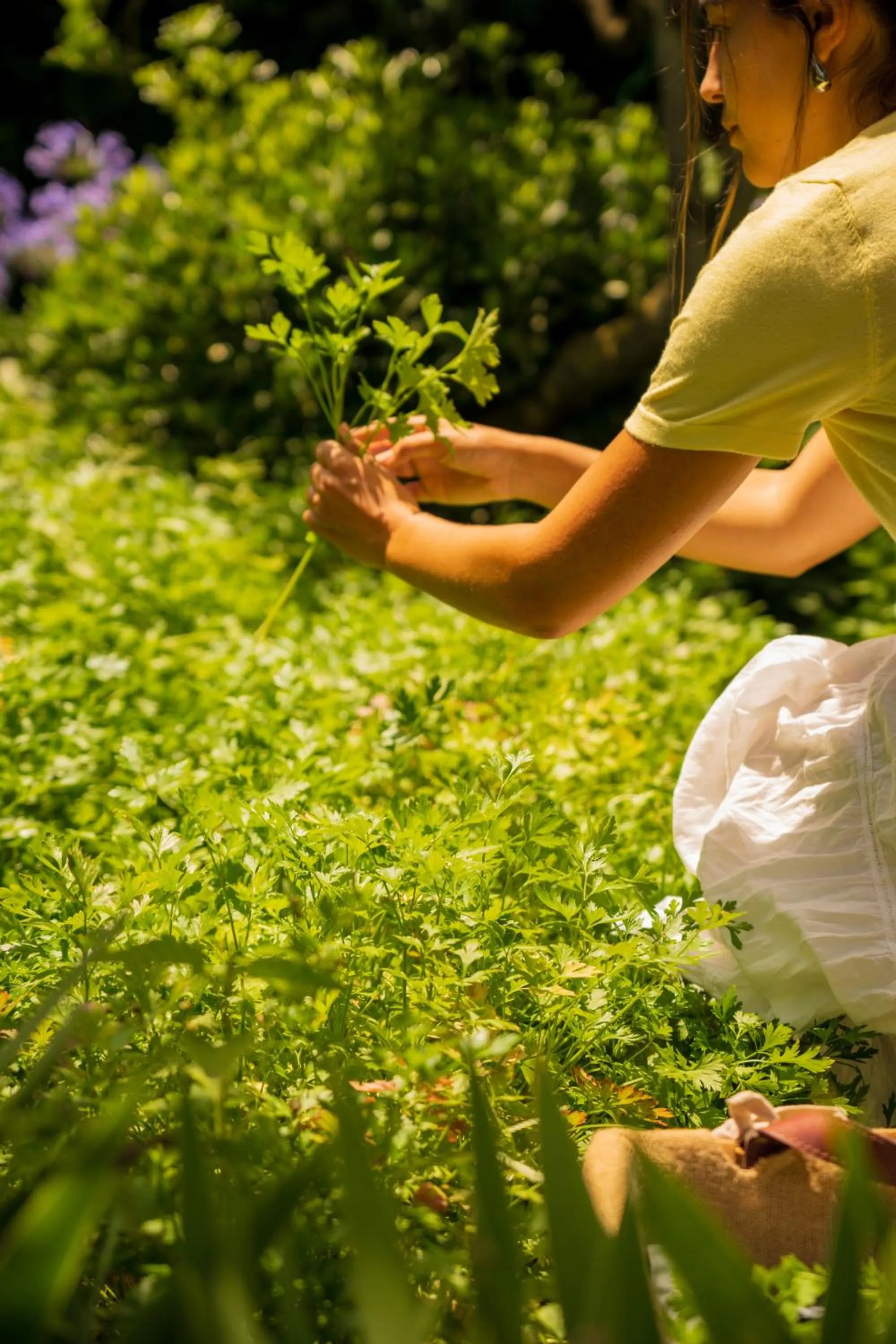 Day in Grand Hotel Cocumella