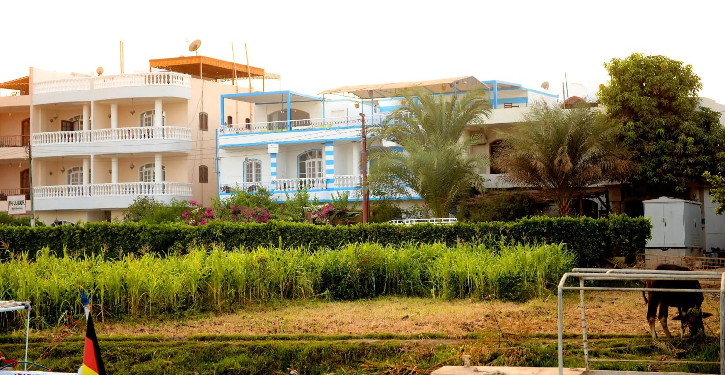 Property building in Luxor Guest House