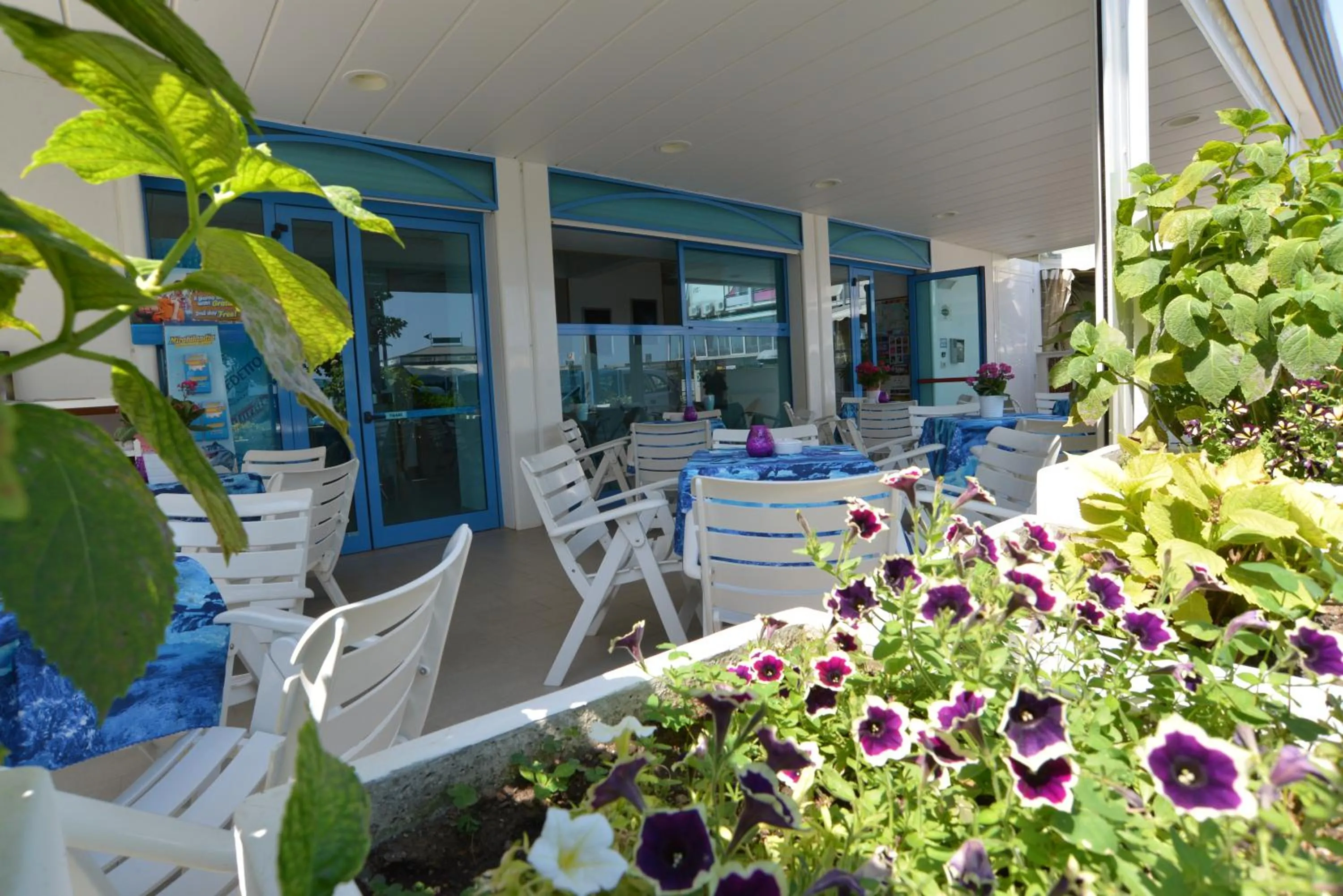 Patio in Hotel Rosalba