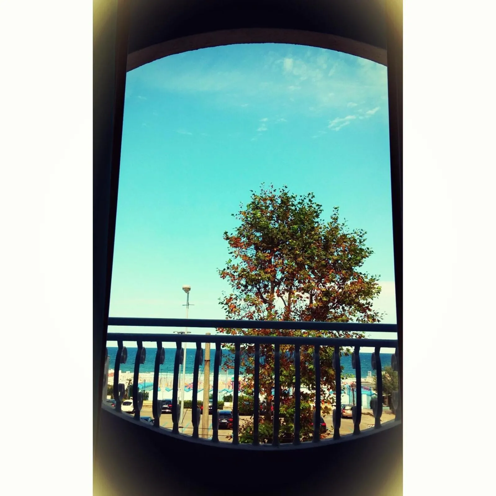 Balcony/Terrace in Hotel Rosalba