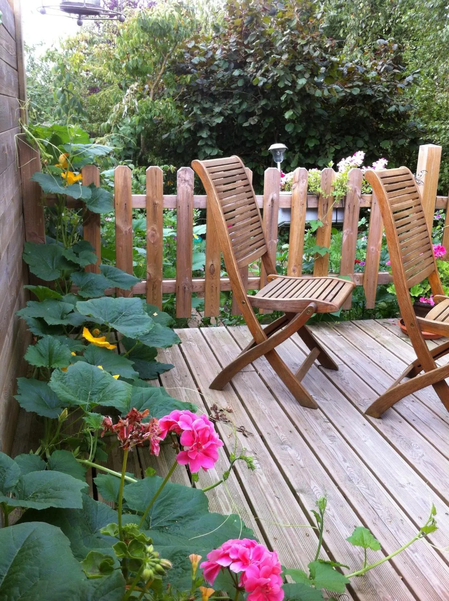 Summer in Couette Et Cafe Crème