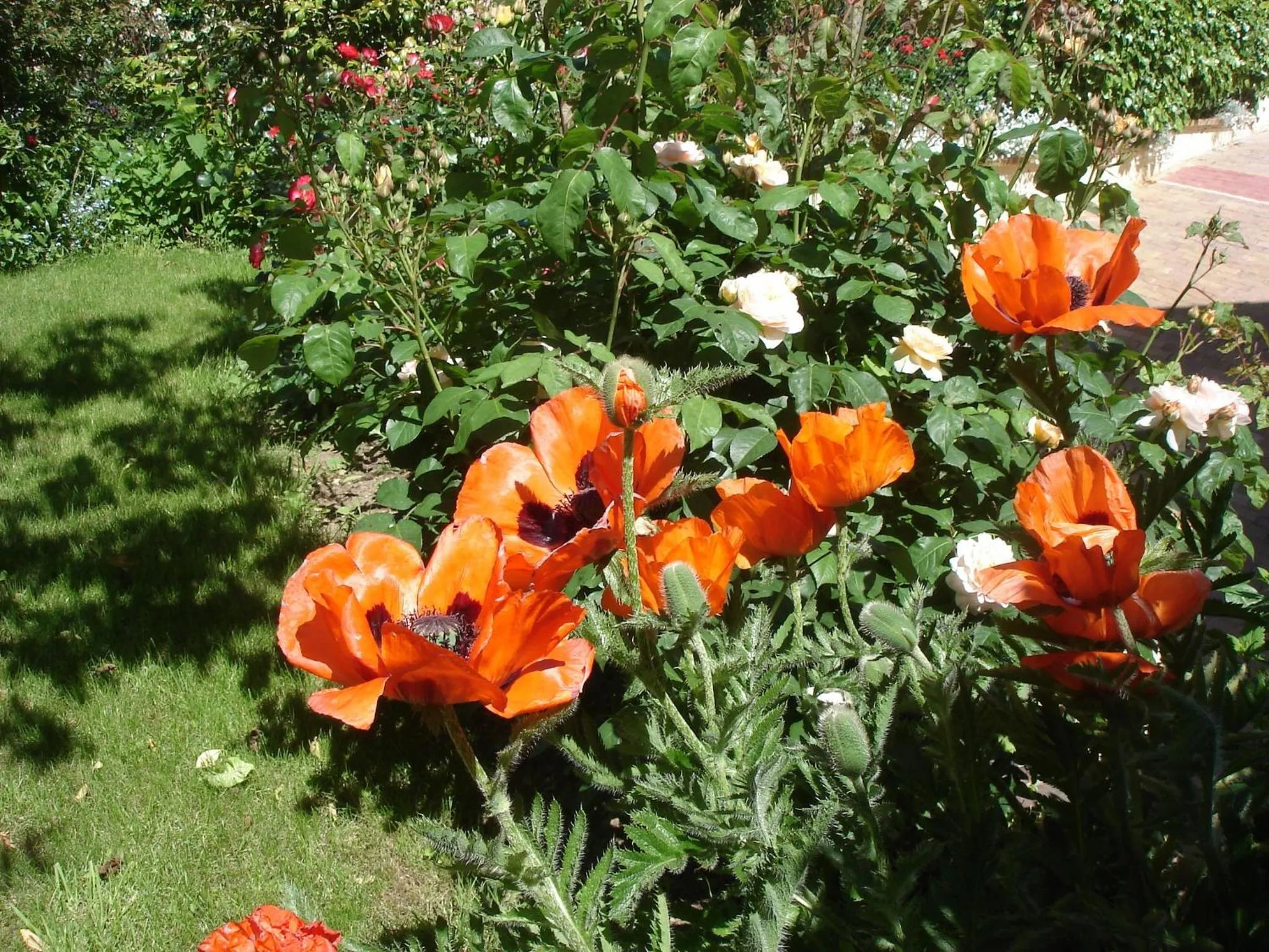 Other in Couette Et Cafe Crème