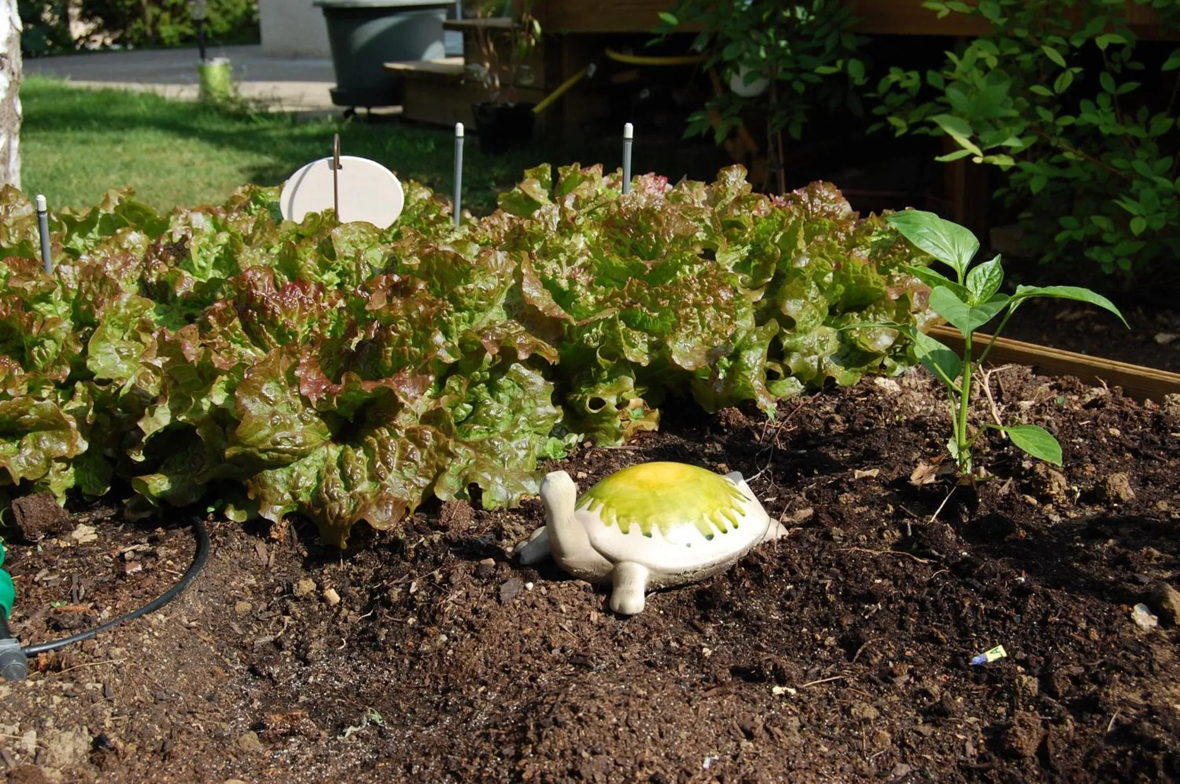 On site in Couette Et Cafe Crème