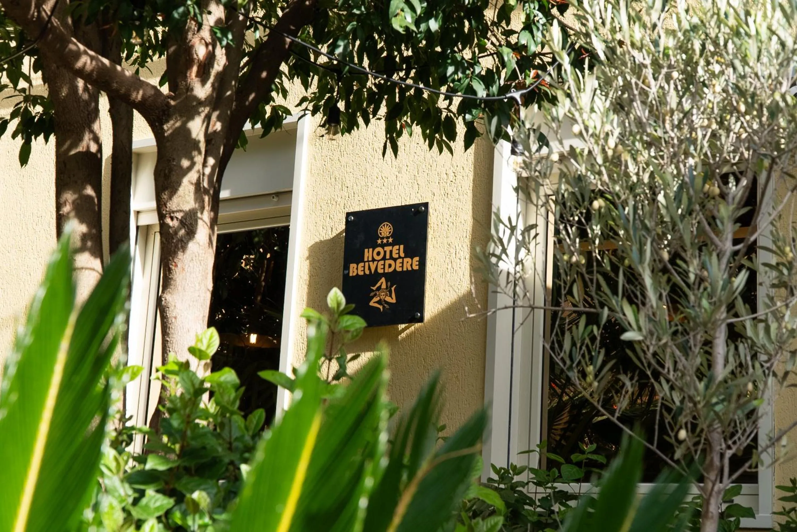 Garden in Hotel Belvedere