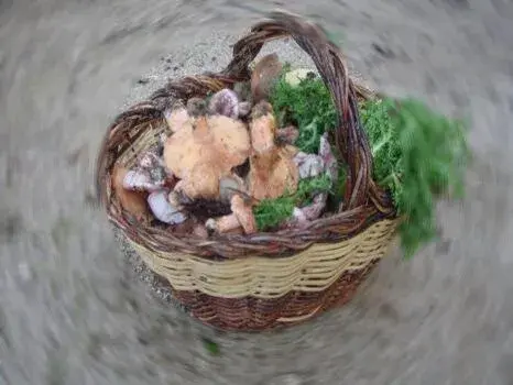 Food and drinks in Hotel Hipic Food and drinks in Hotel Hipic