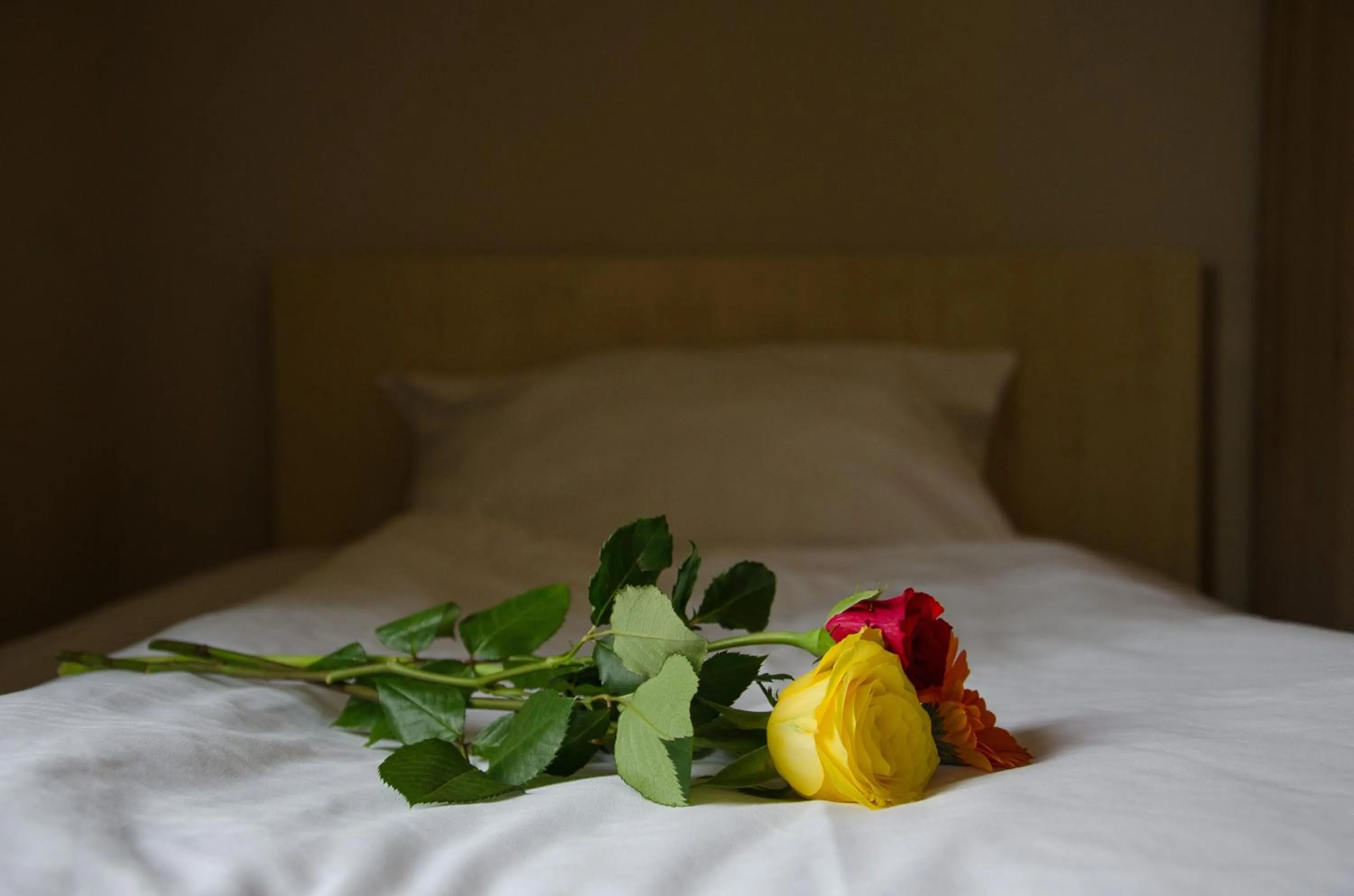 Bed in Panorama Hotel Frankfurt Offenbach Süd