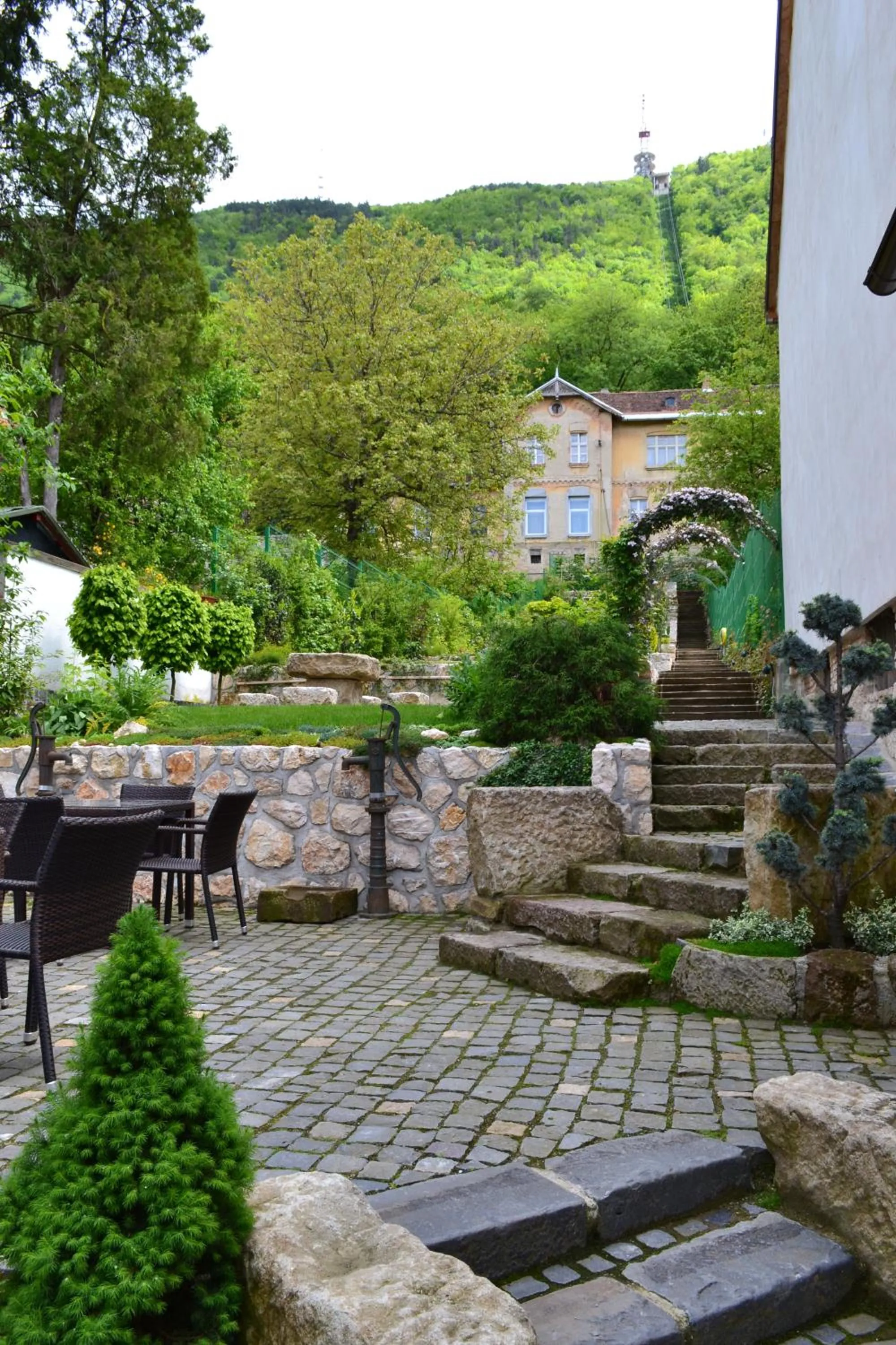 Garden in Casa Veche