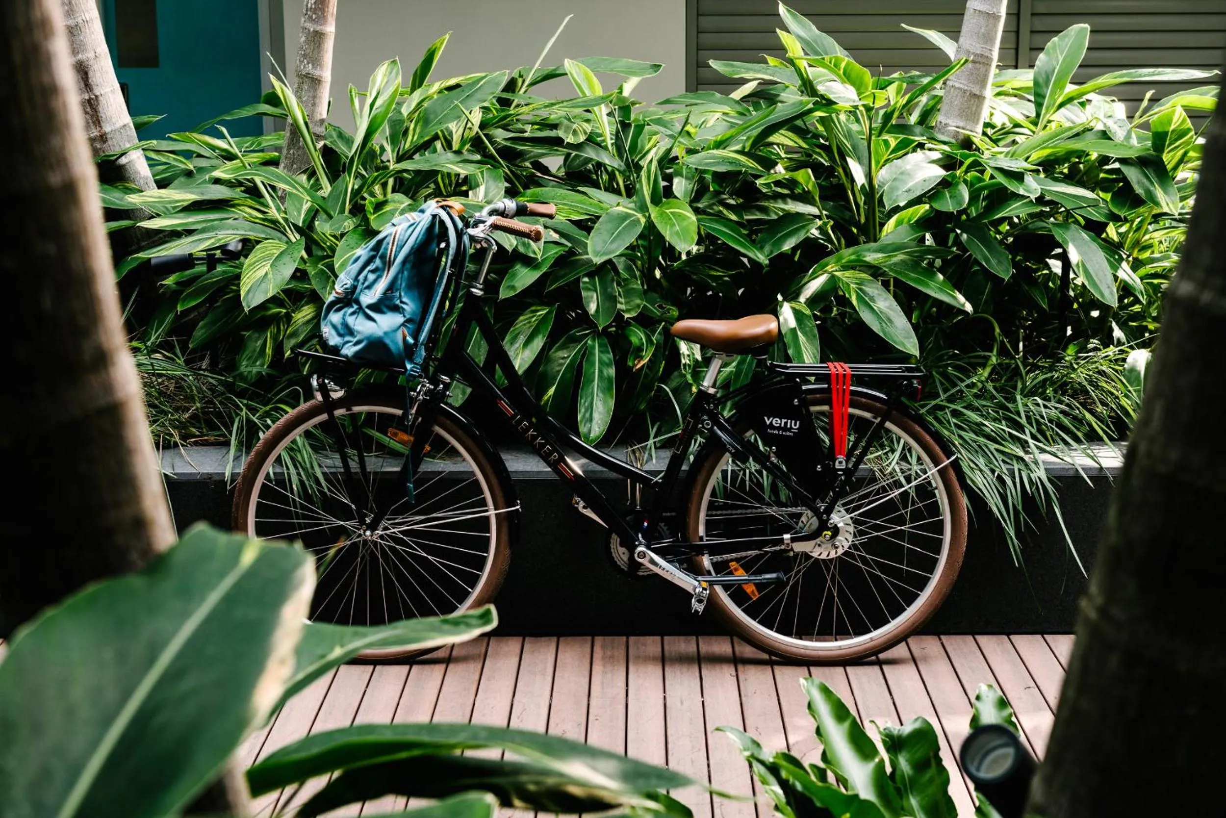 Cycling in Veriu Camperdown