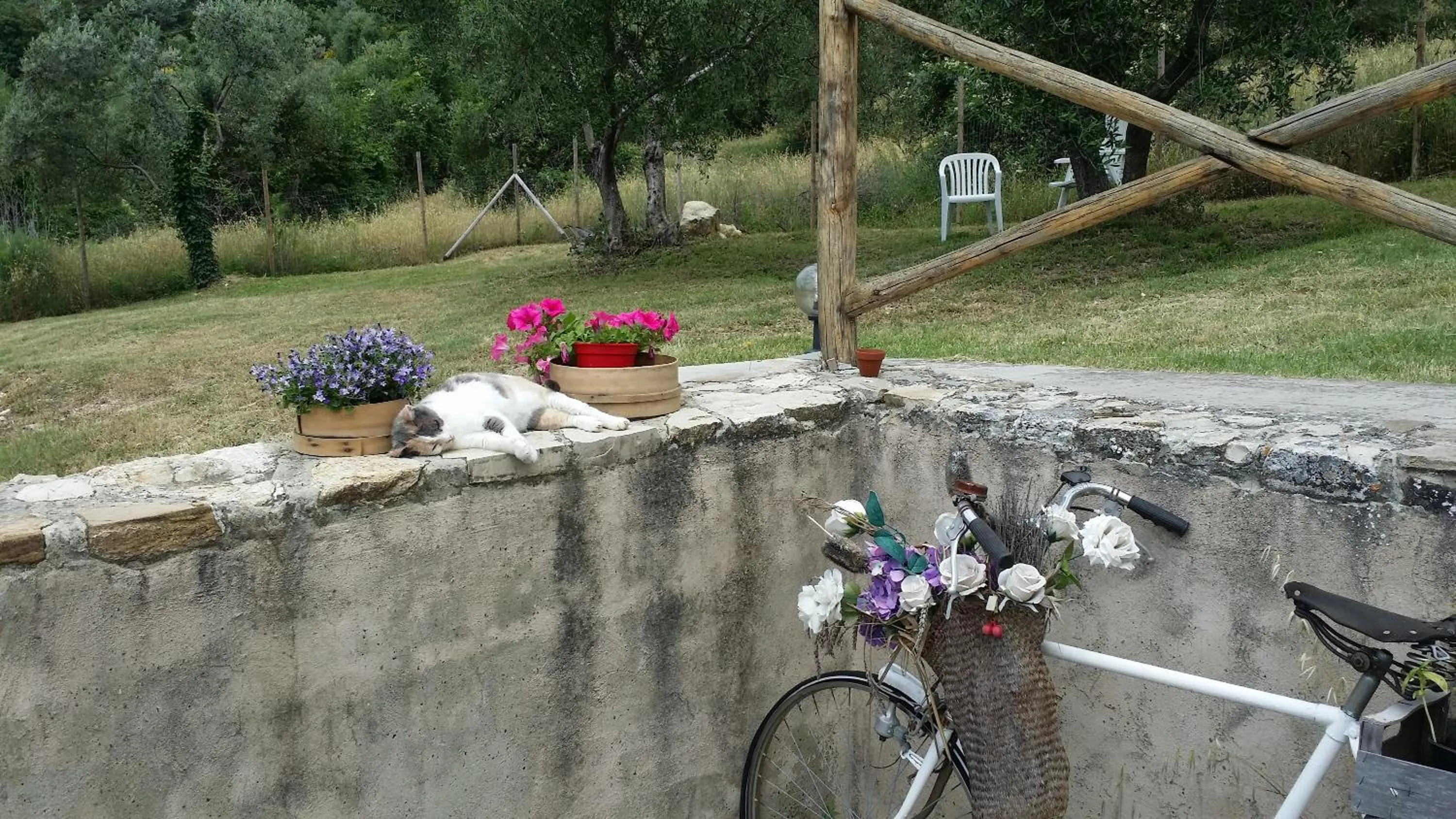 Garden in B&B Le Torri Di Firenze