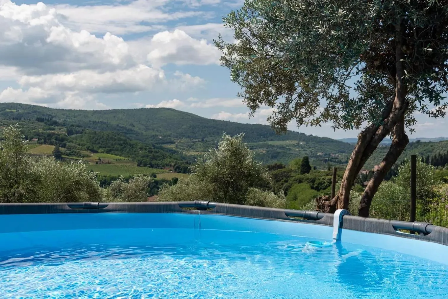 Garden in B&B Le Torri Di Firenze