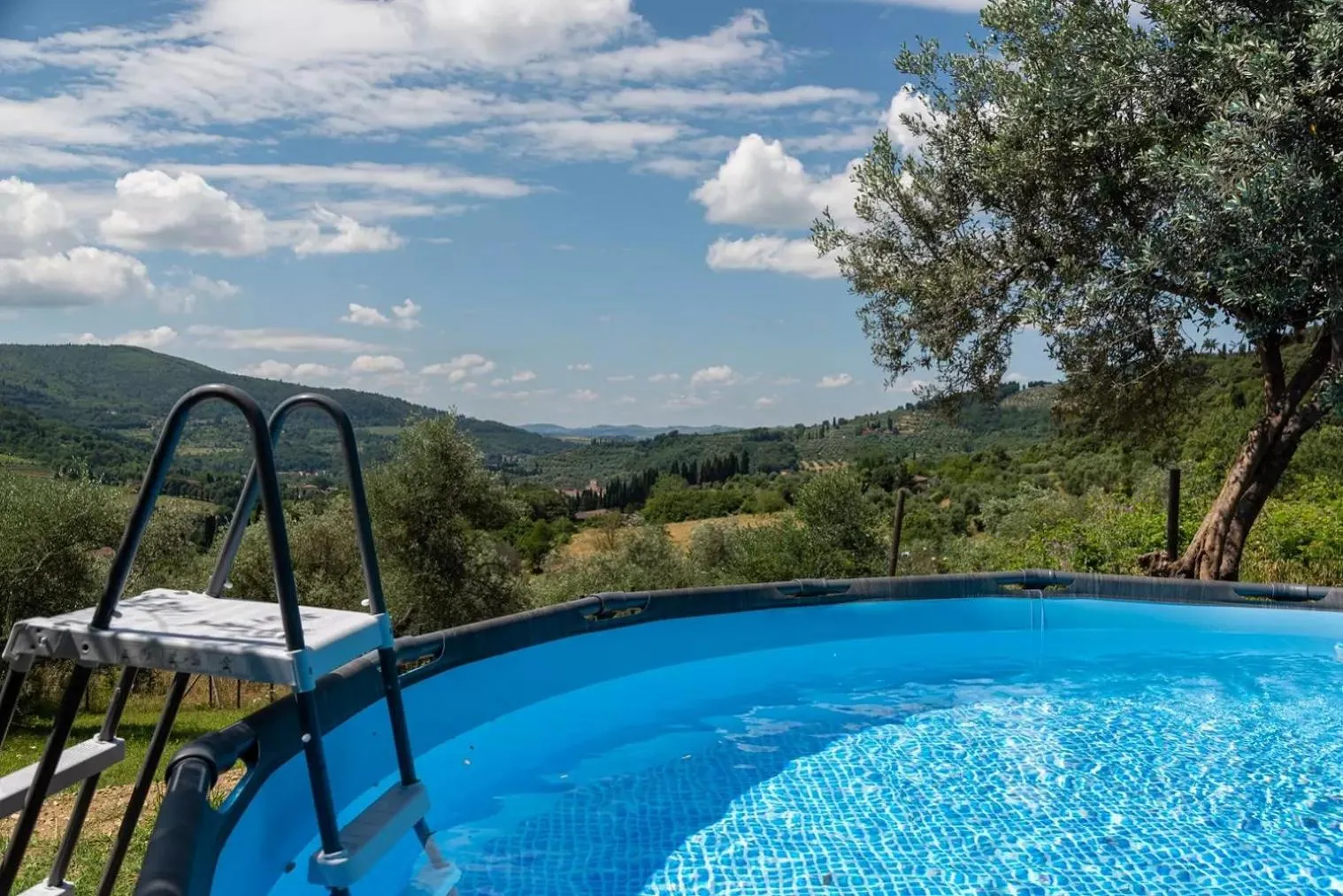 Garden in B&B Le Torri Di Firenze