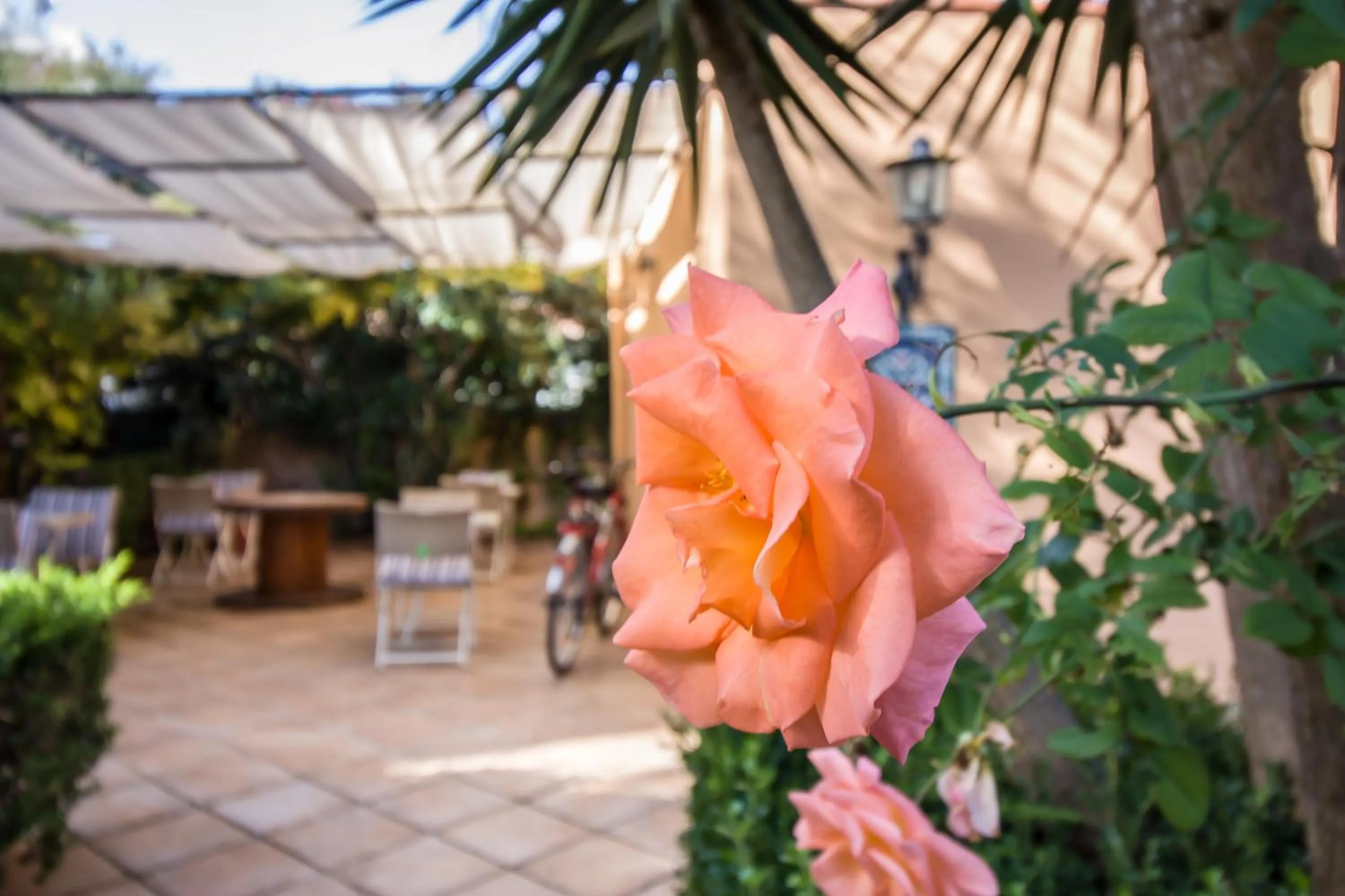 Property building in B&B Le Muse