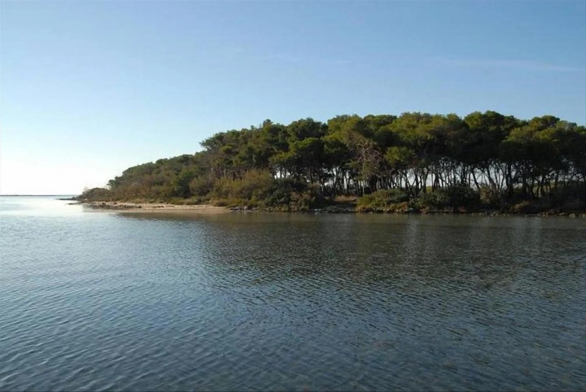 Natural landscape in Alvaro Holiday Home