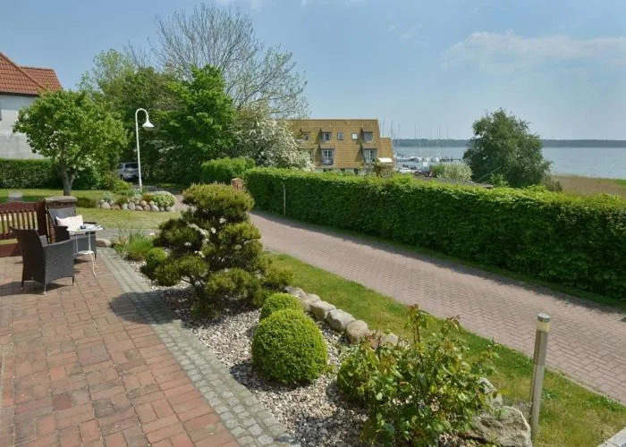 Patio in Ferienwohnung Boddenzander