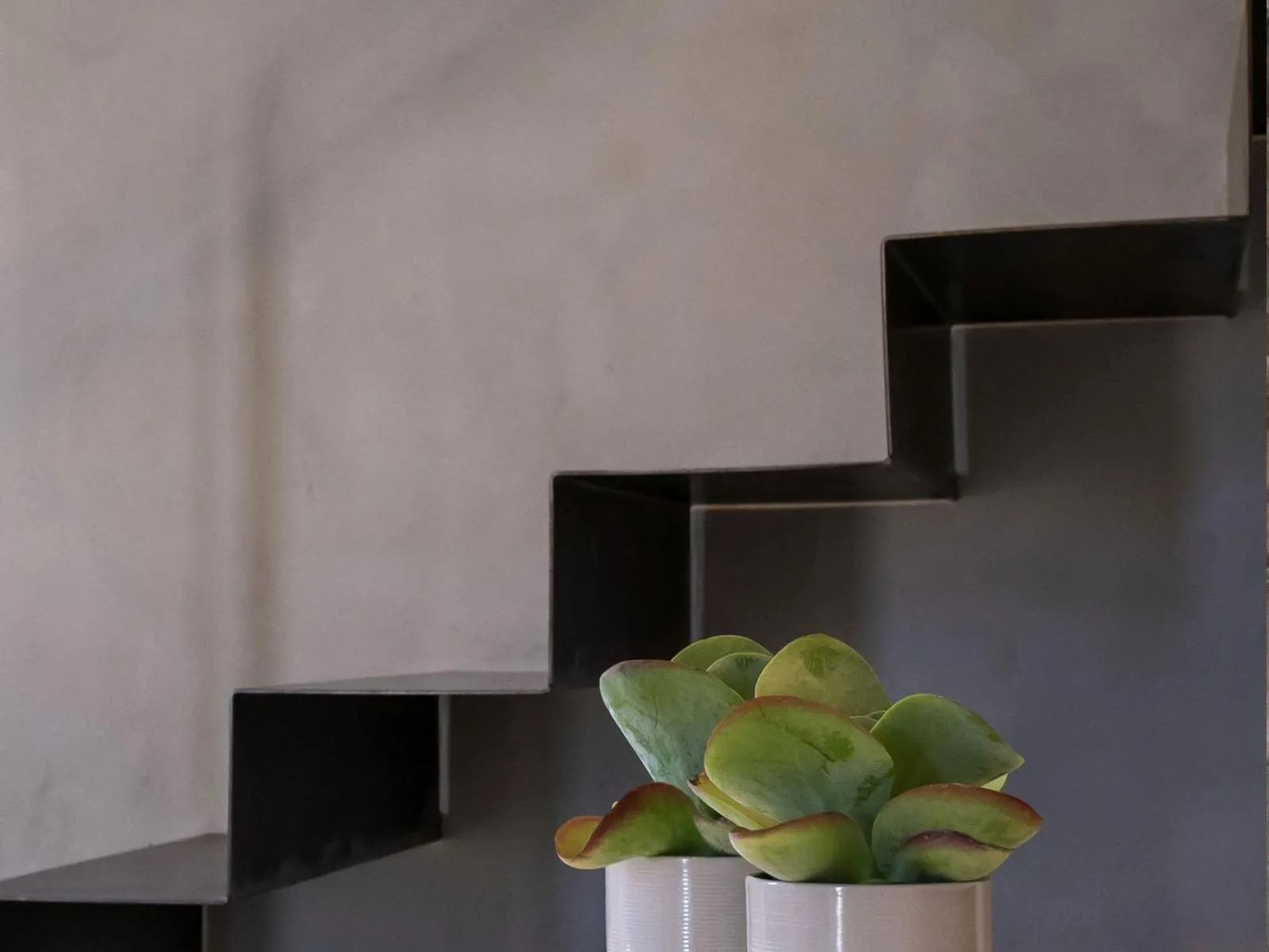 Talè Restaurant & Suite