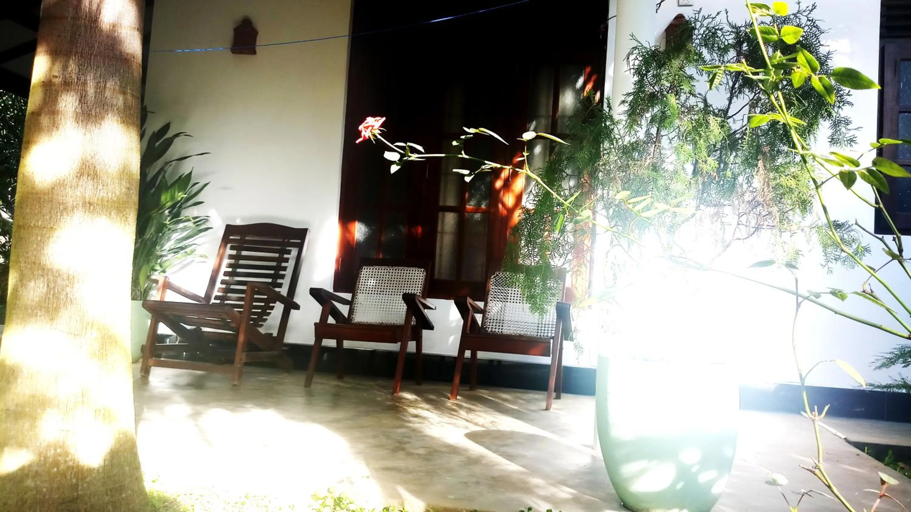 Garden in Eagle Homestay