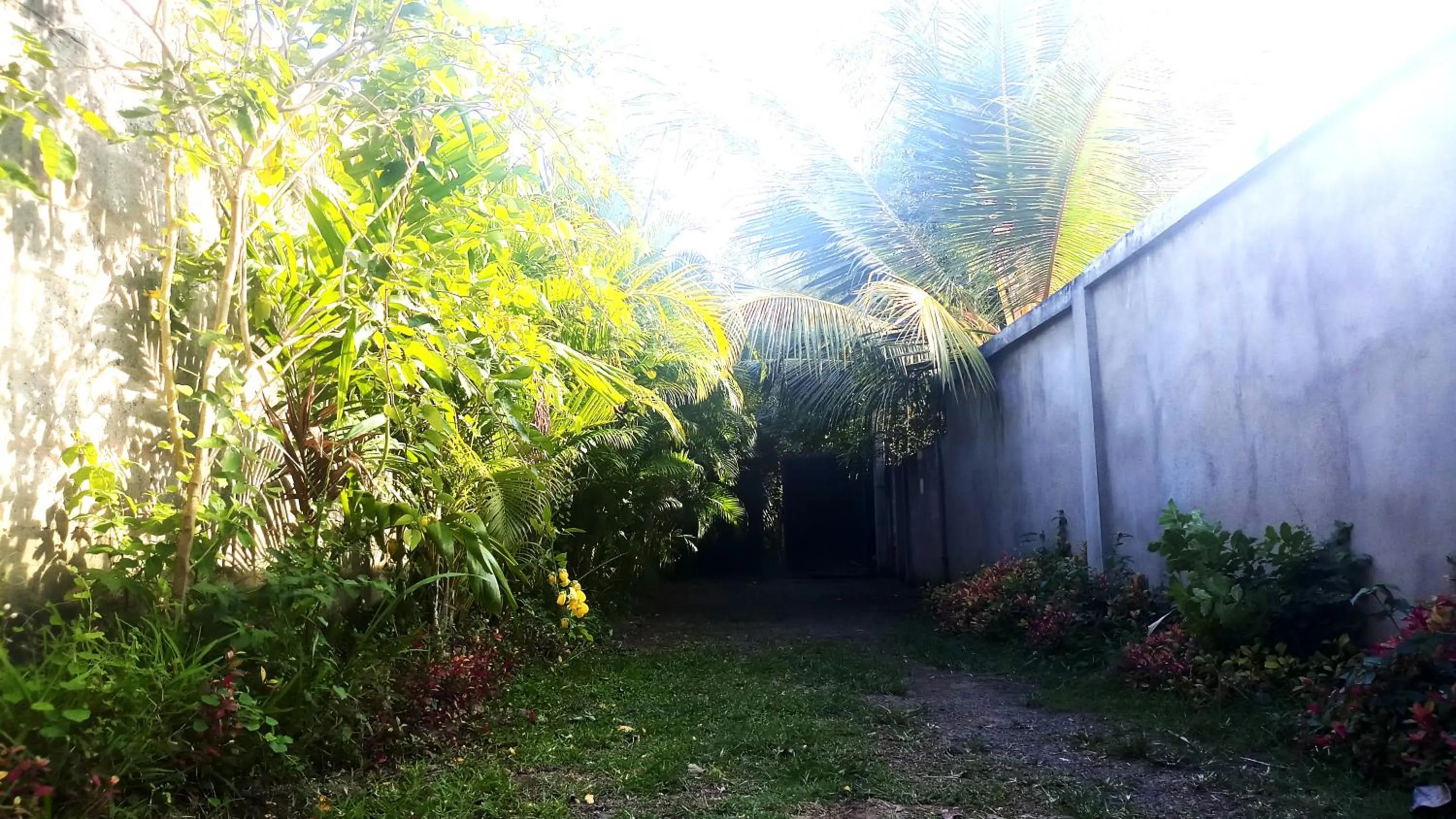 Facade/entrance in Eagle Homestay