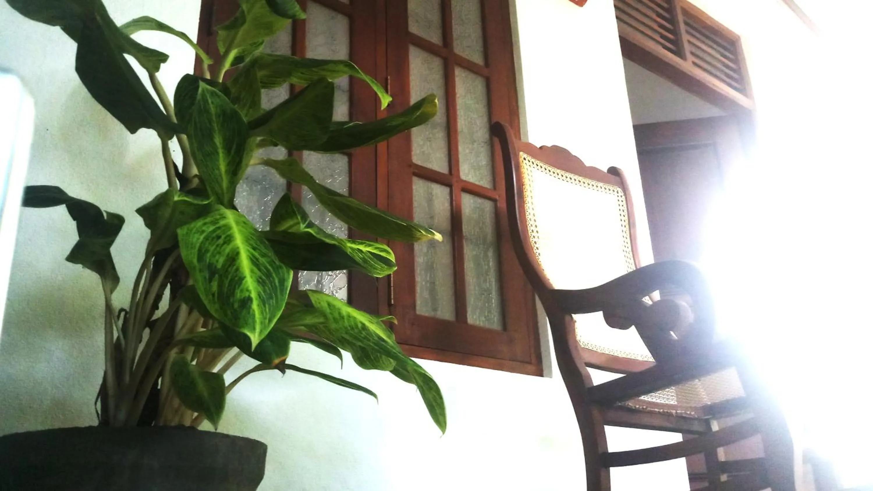 Seating area in Eagle Homestay