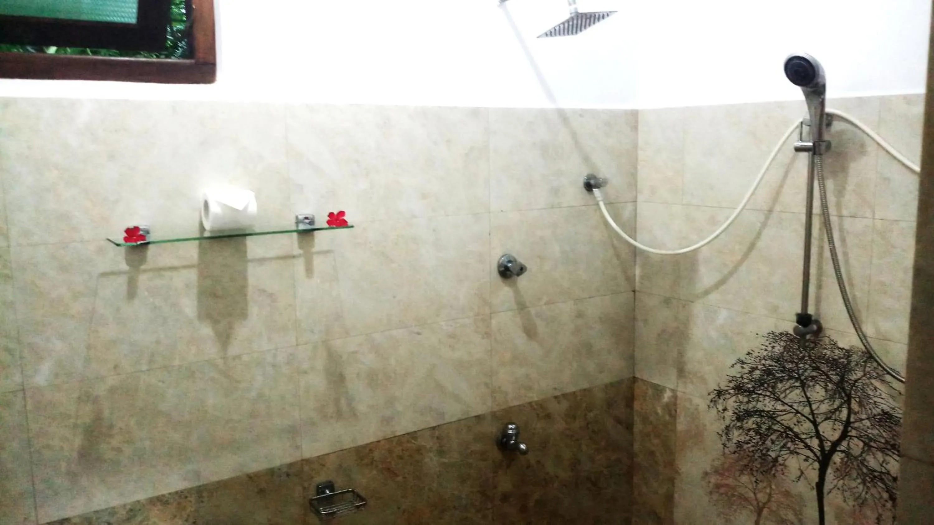 Bathroom in Eagle Homestay