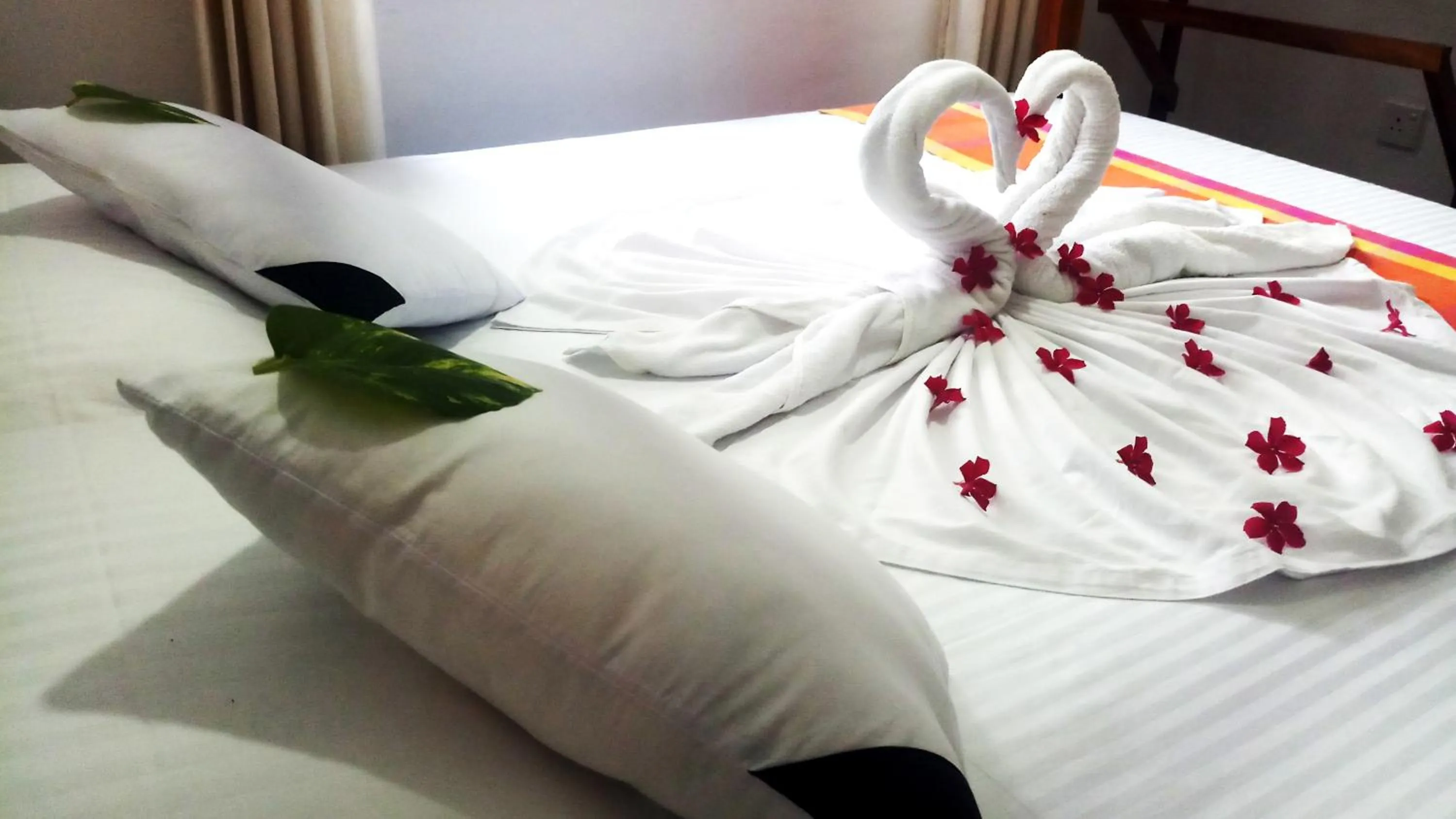 Bed in Eagle Homestay