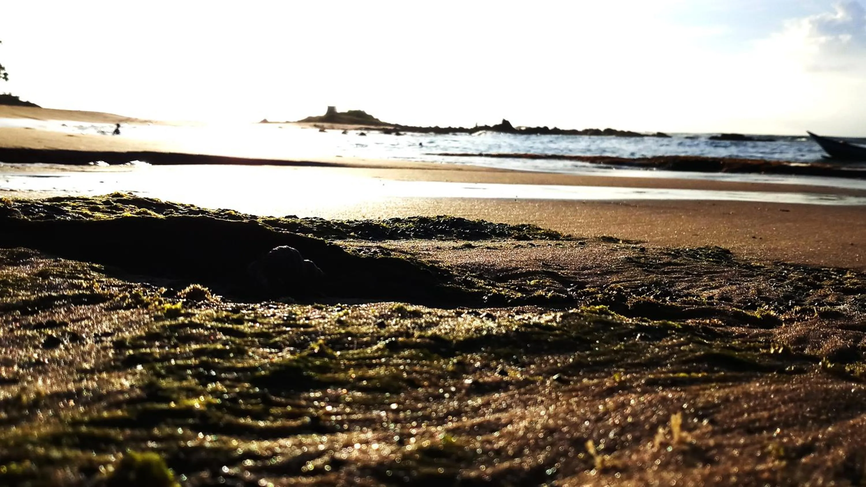 Beach in Eagle Homestay