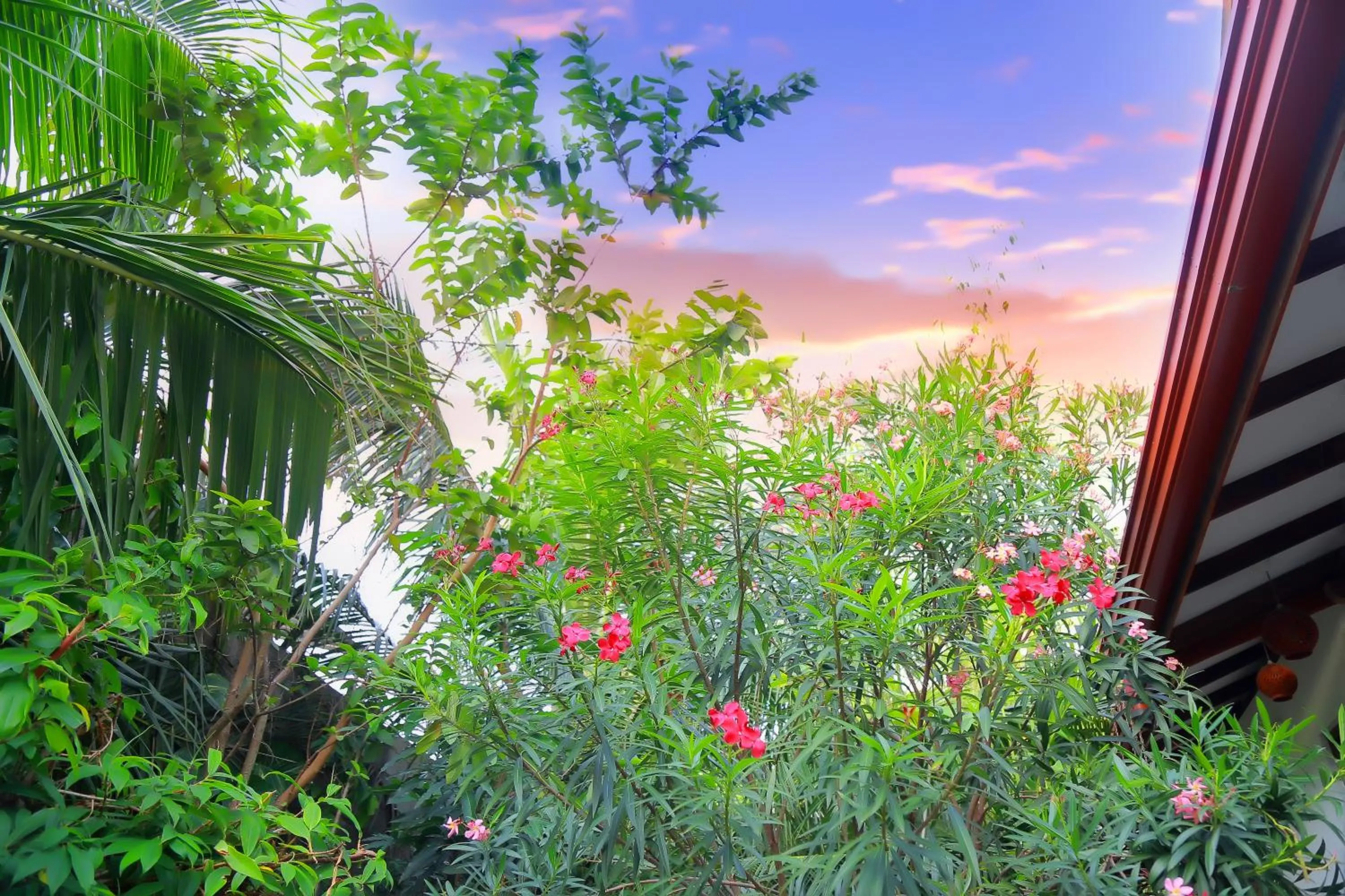 Garden in Eagle Homestay