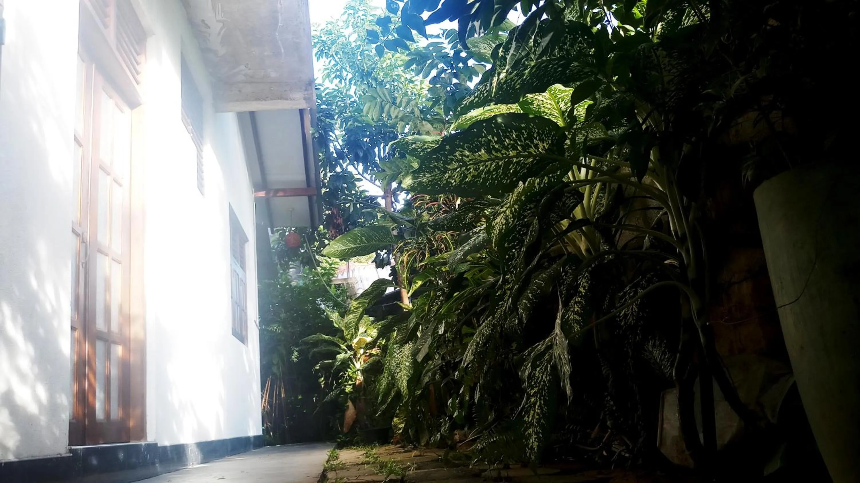 Garden in Eagle Homestay