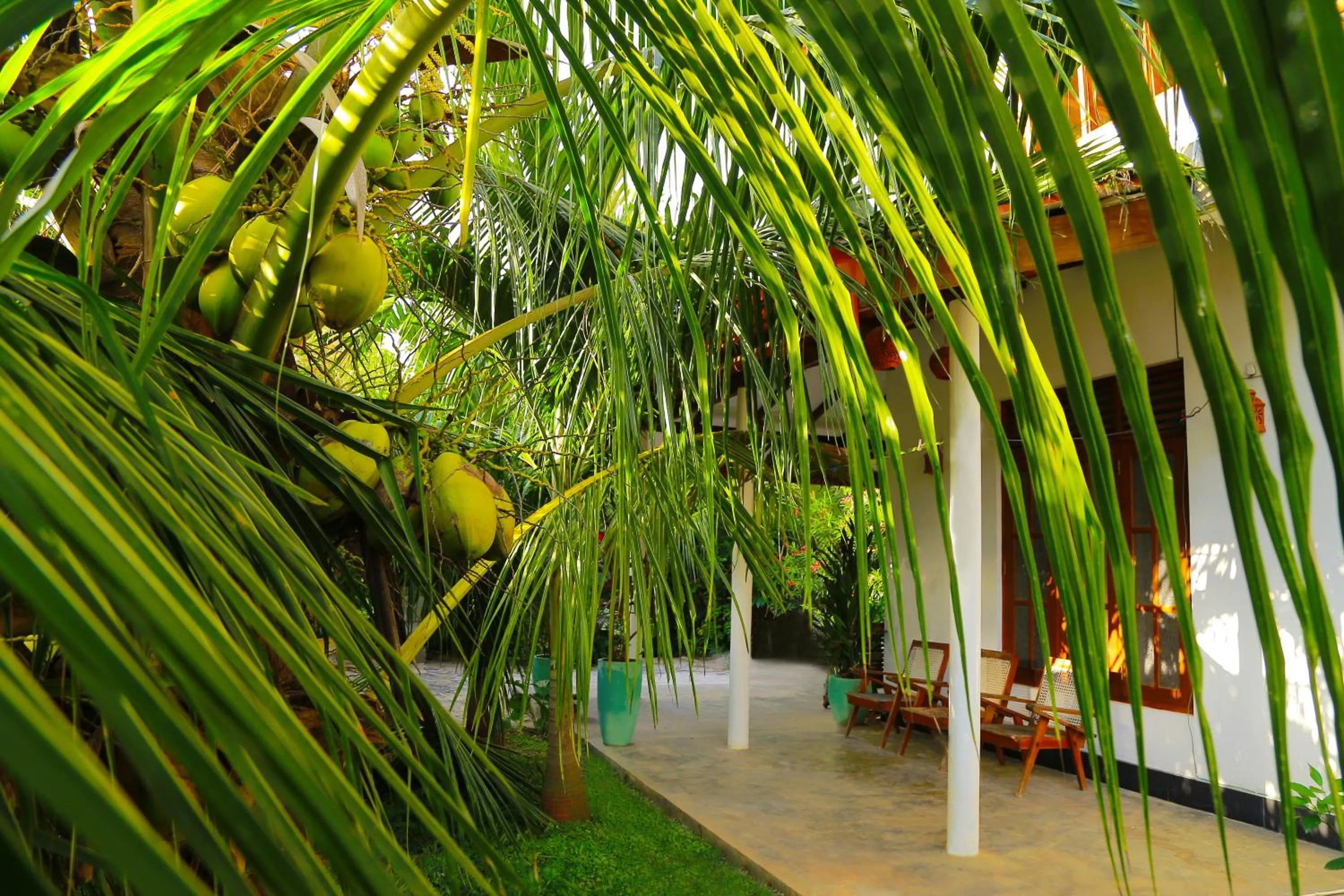 Garden in Eagle Homestay