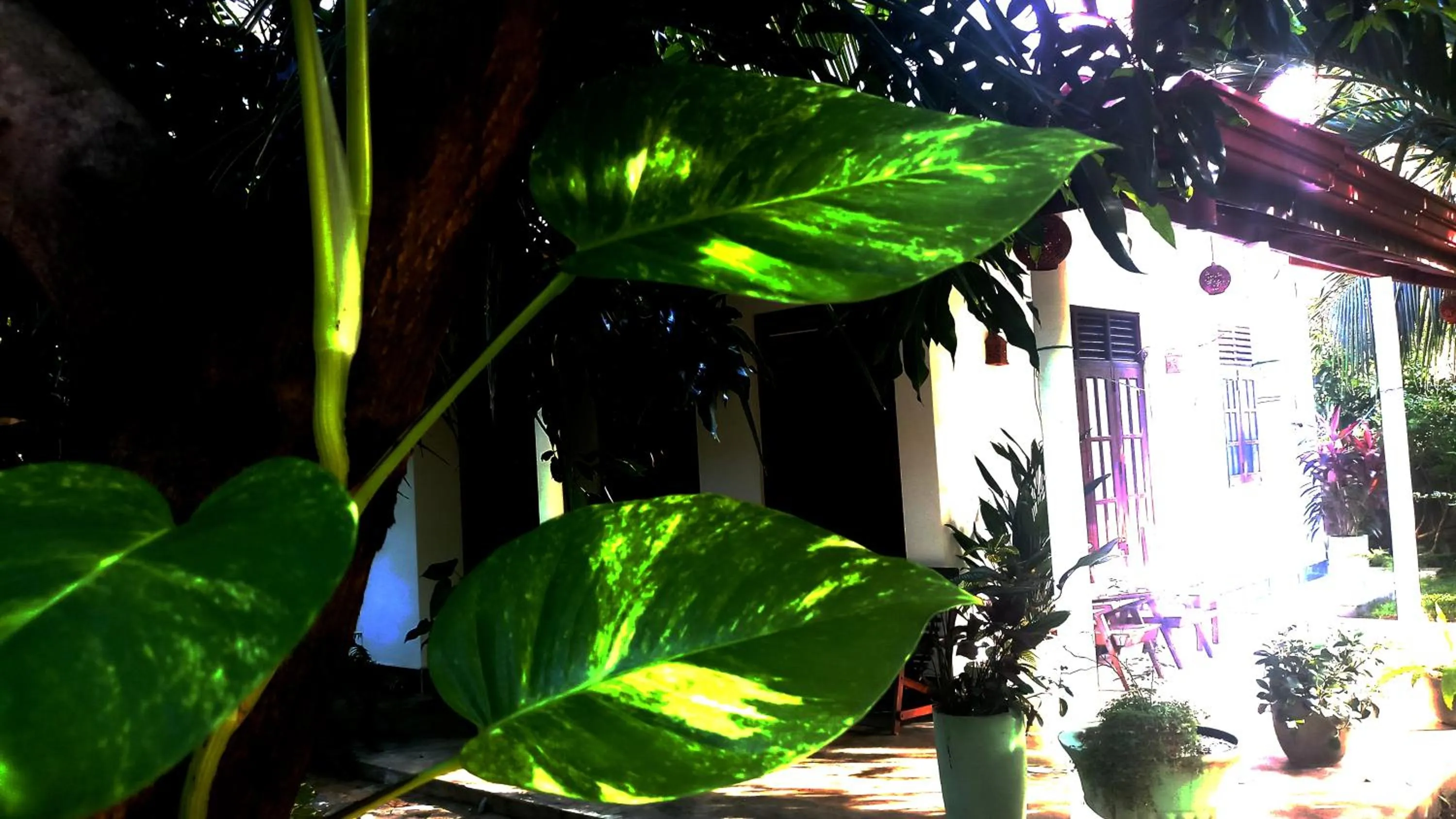 Facade/entrance in Eagle Homestay