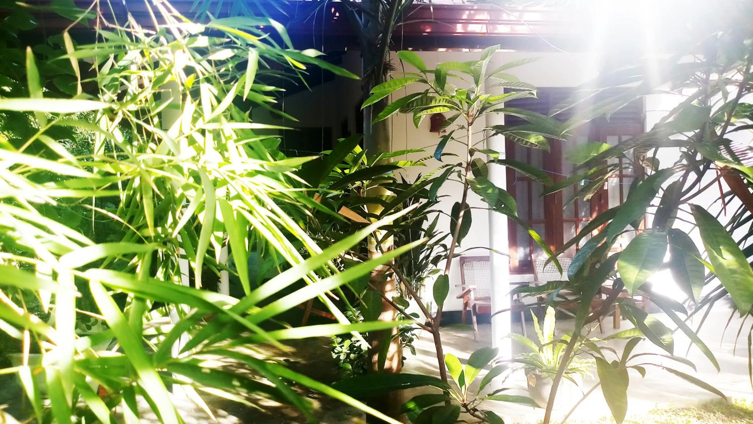 Facade/entrance in Eagle Homestay