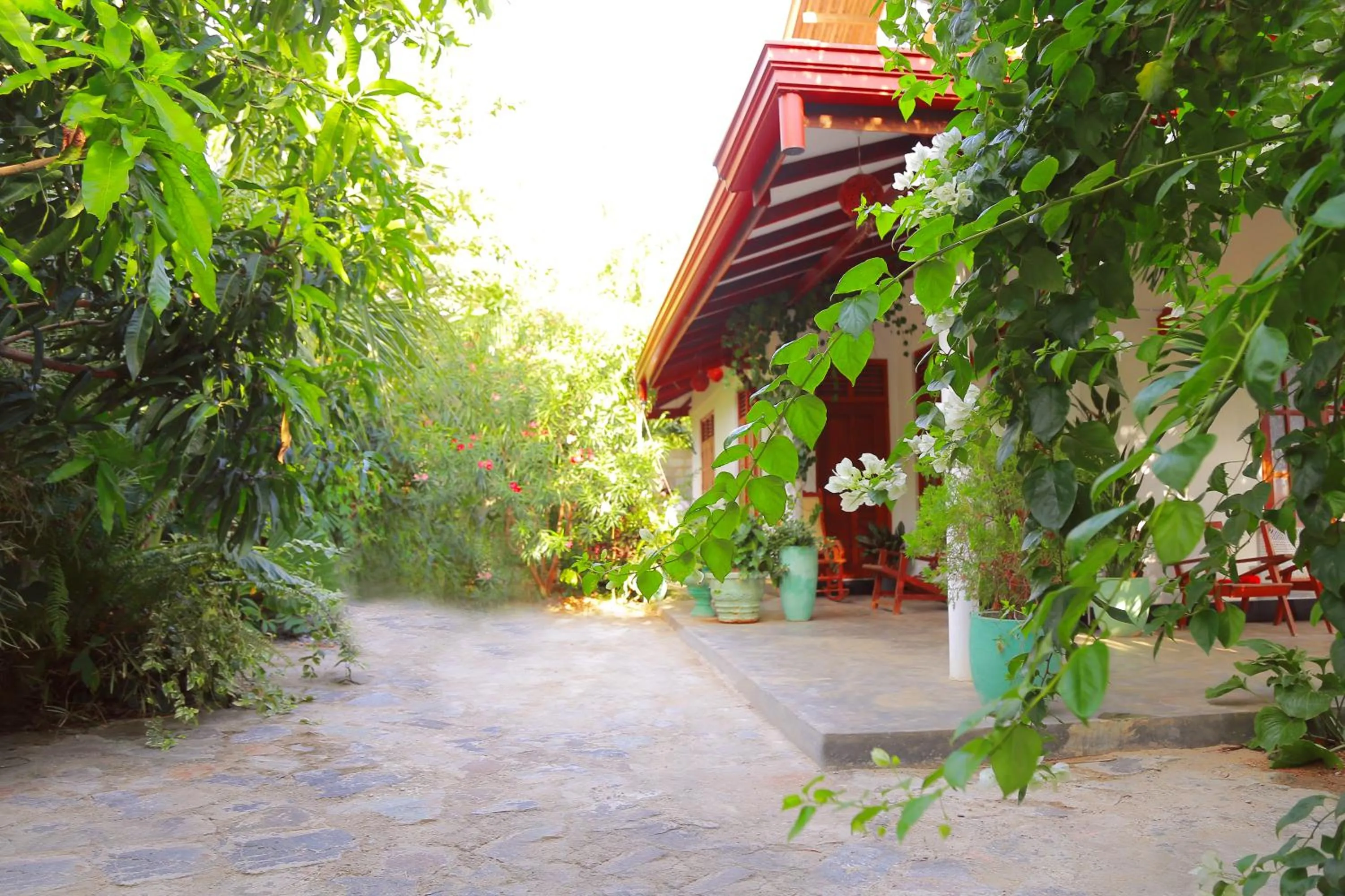 Garden view in Eagle Homestay