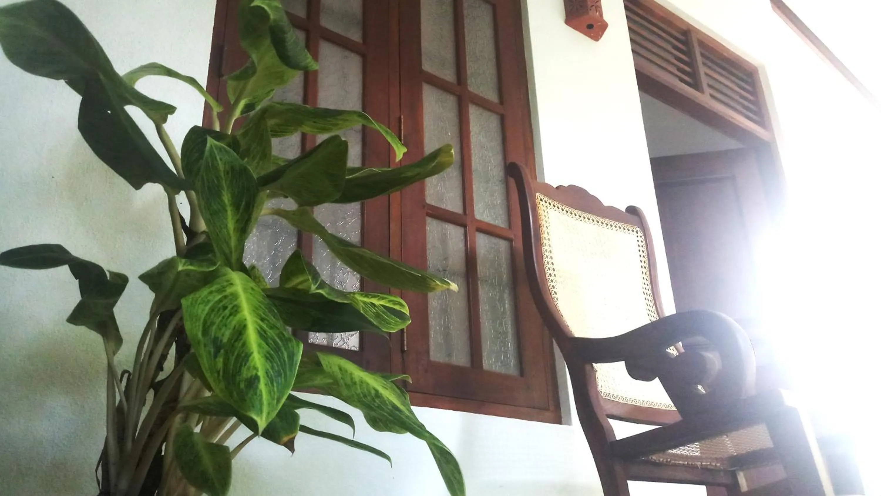 Balcony/Terrace in Eagle Homestay